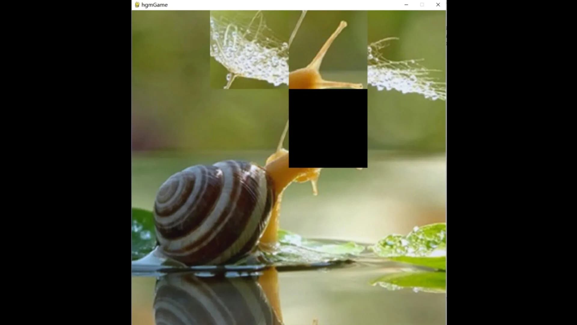 hgmGame-snail görsel 5