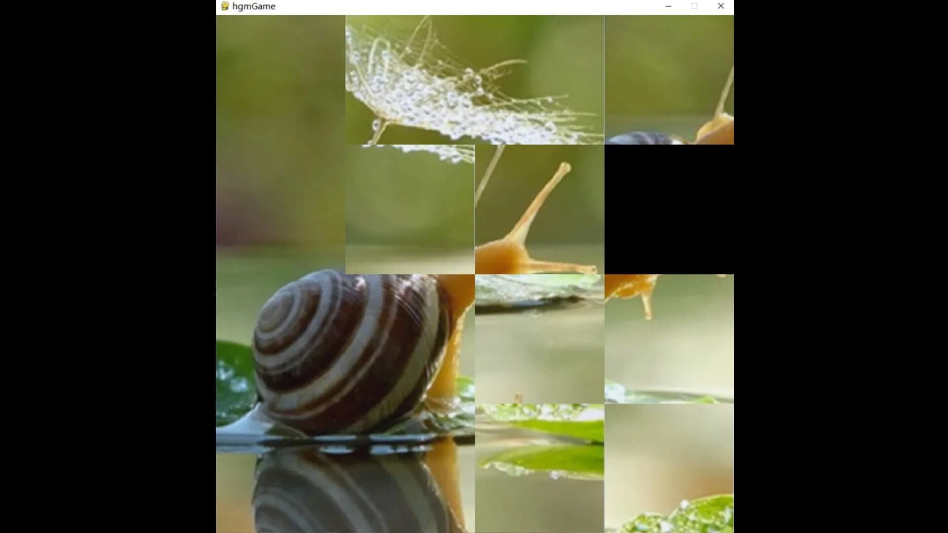 hgmGame-snail görsel 6