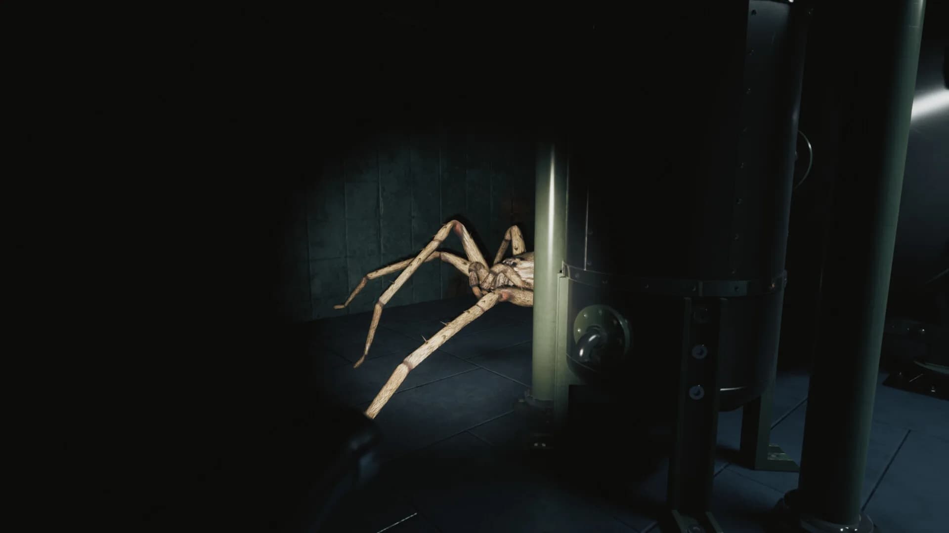 Huntsman görsel 8