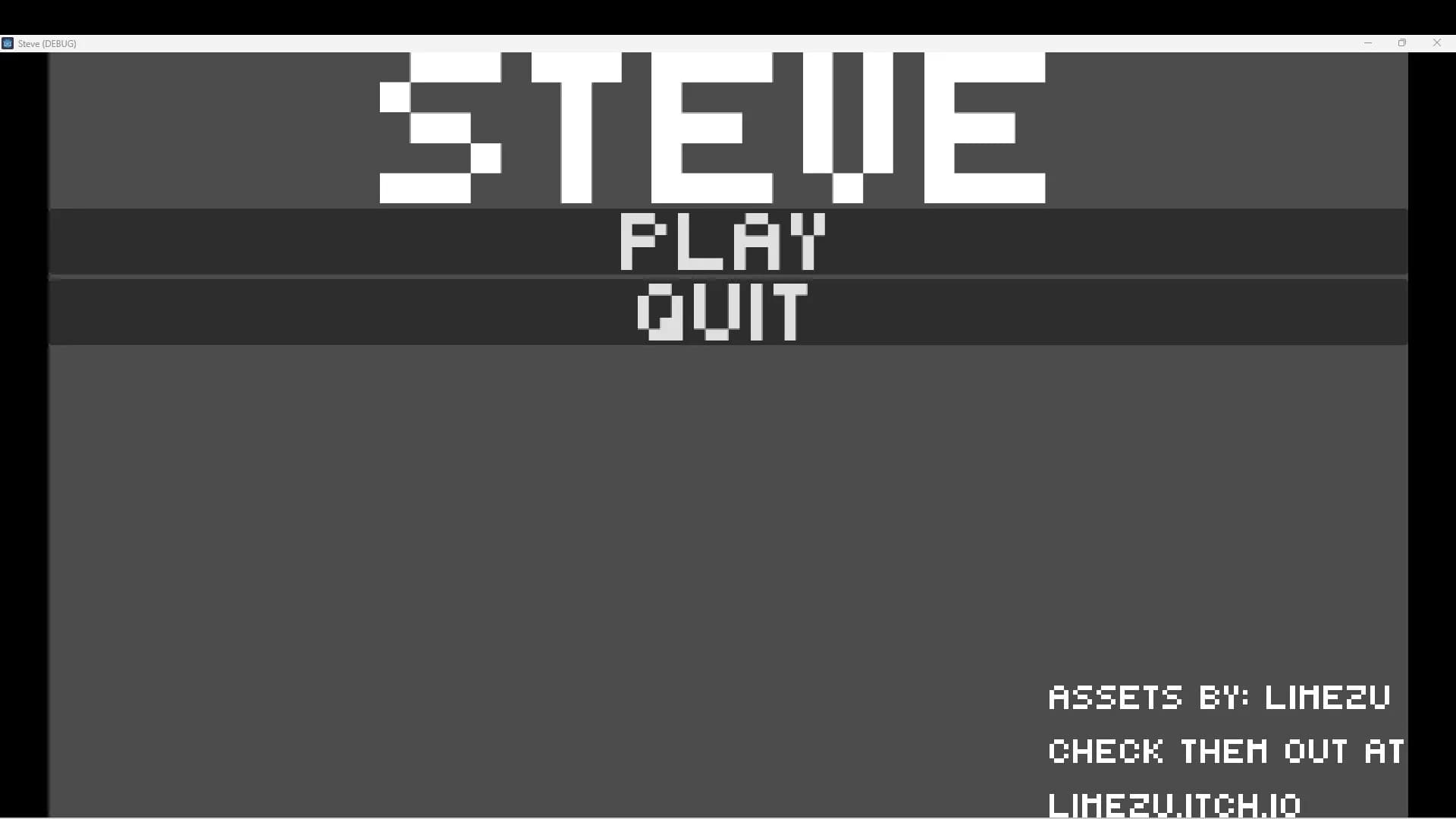 Steve görsel 2