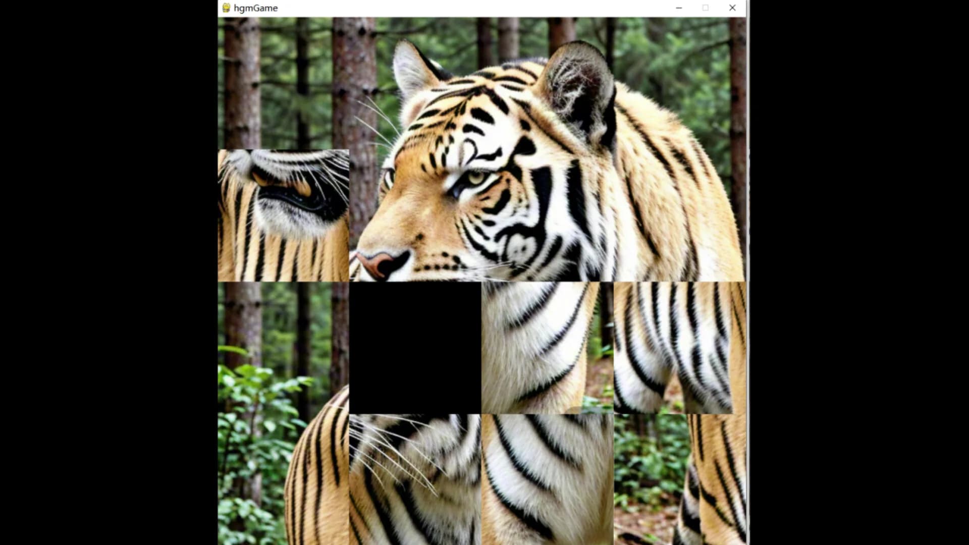 hgmGame-tiger görsel 2