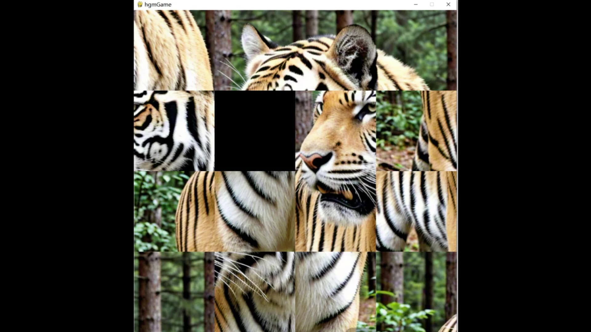hgmGame-tiger görsel 3
