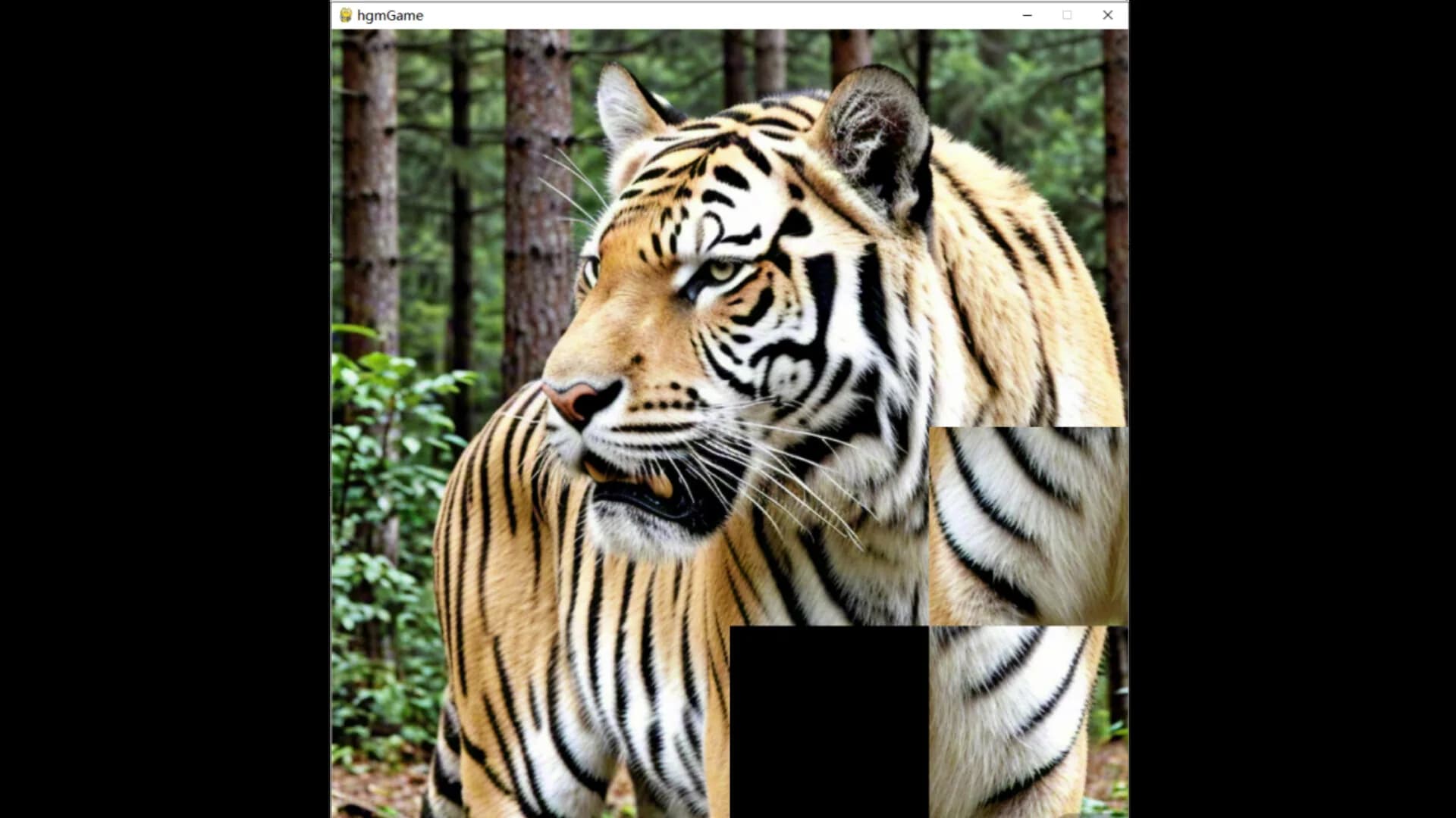 hgmGame-tiger görsel 4