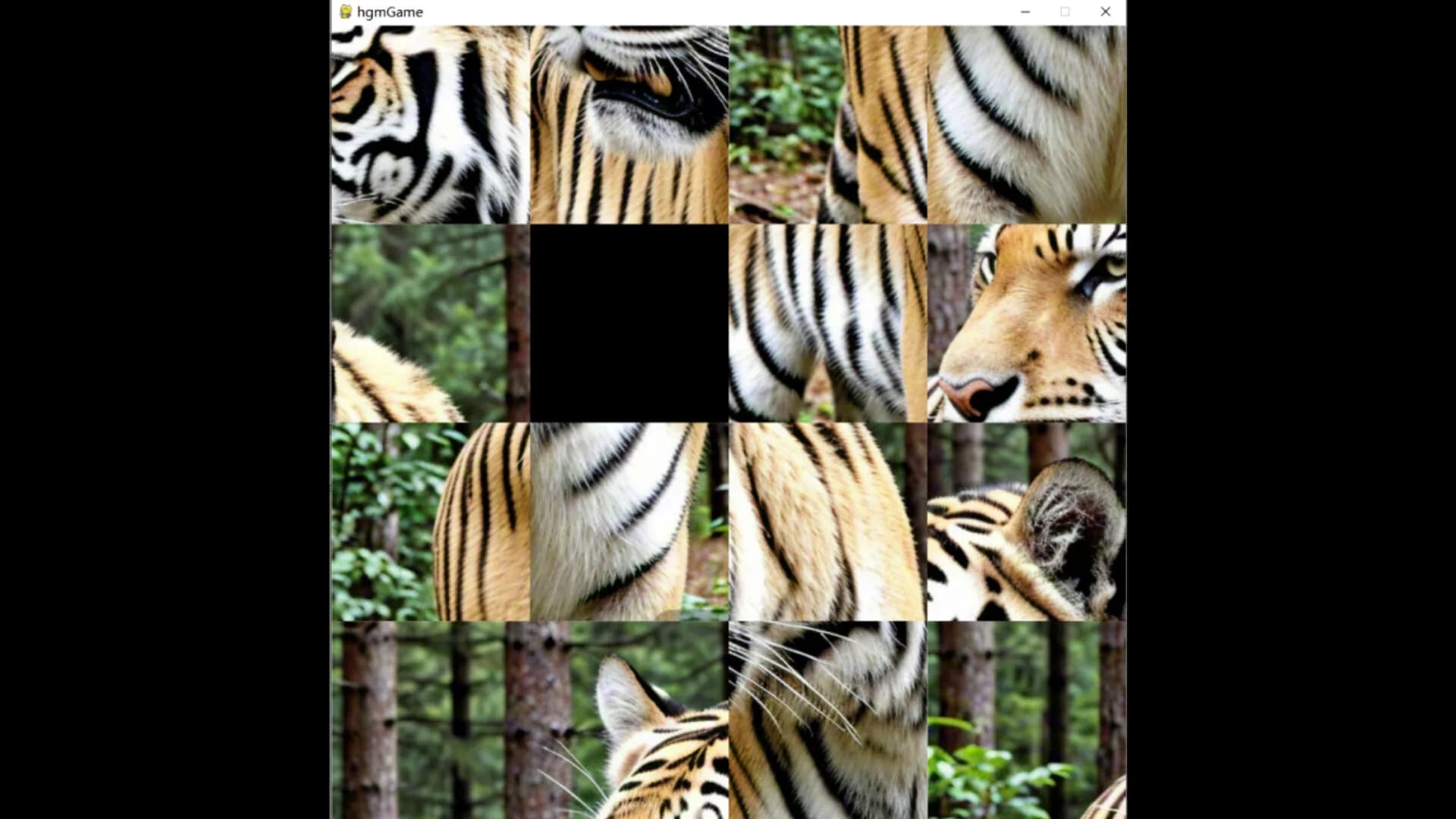 hgmGame-tiger görsel 5