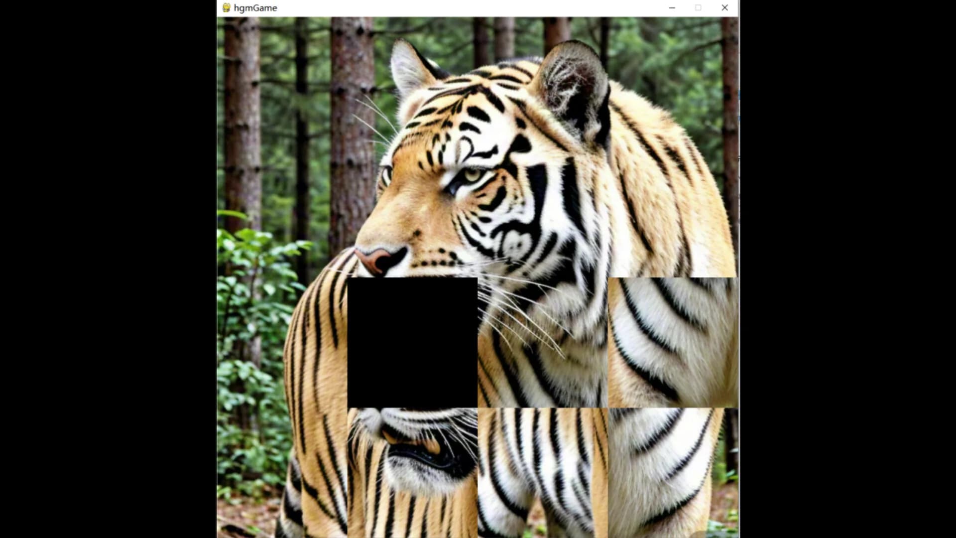 hgmGame-tiger görsel 6