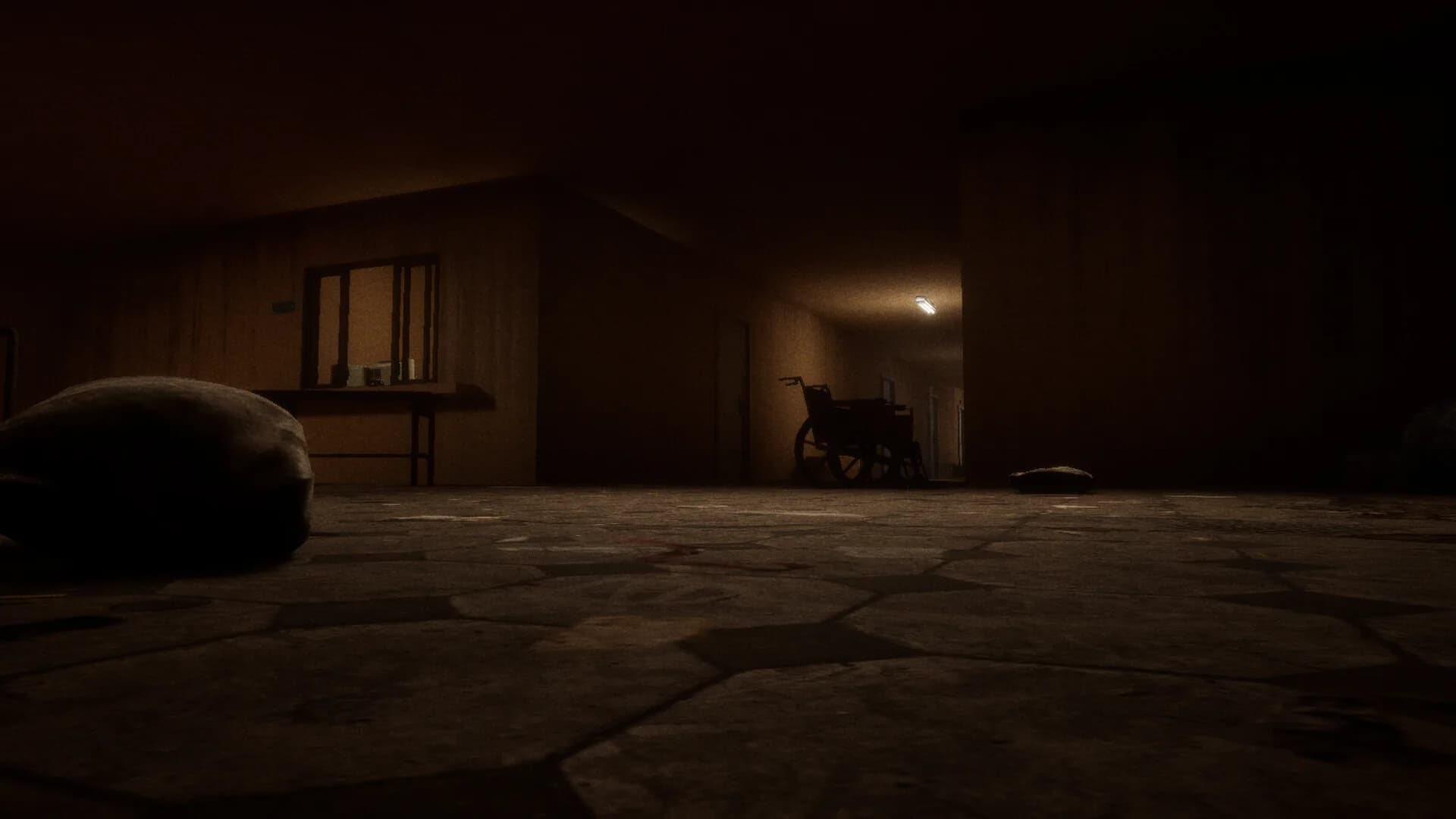 Echoveil : The Last Guest görsel 2