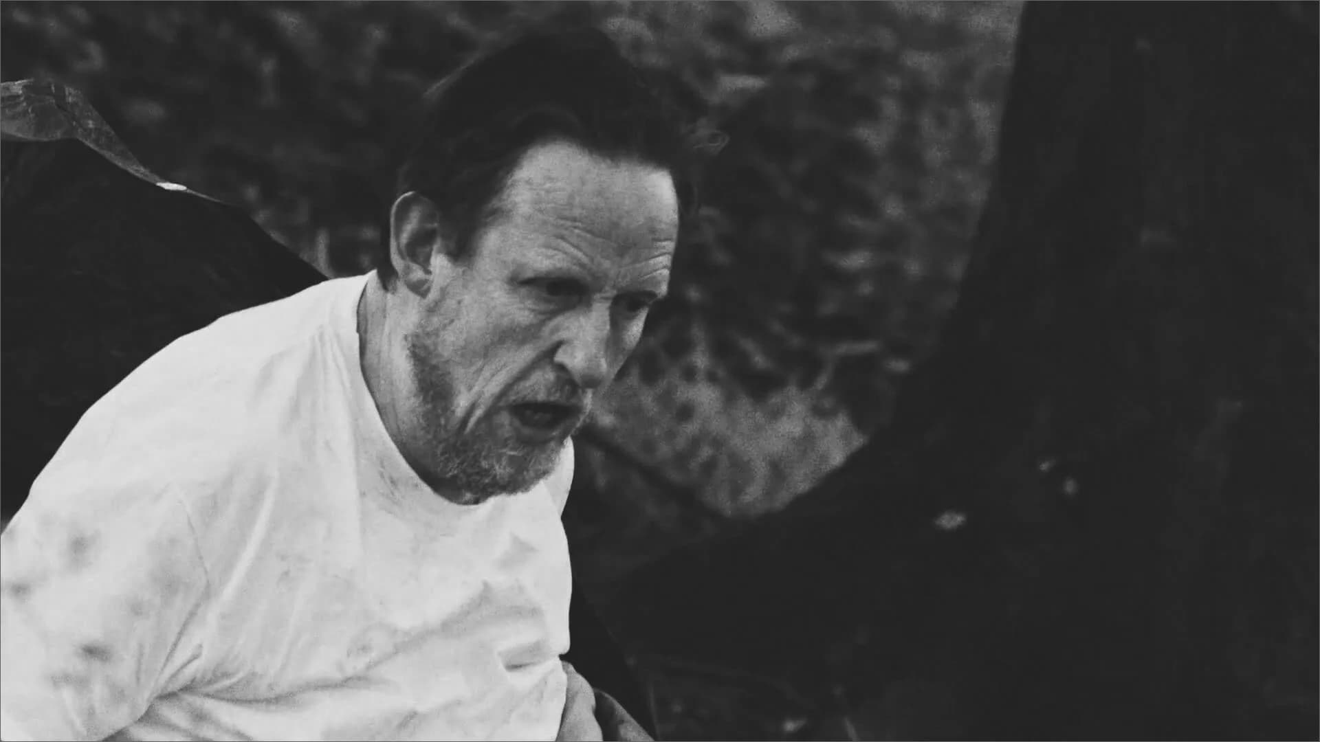 CliveWareGOLD görsel 3