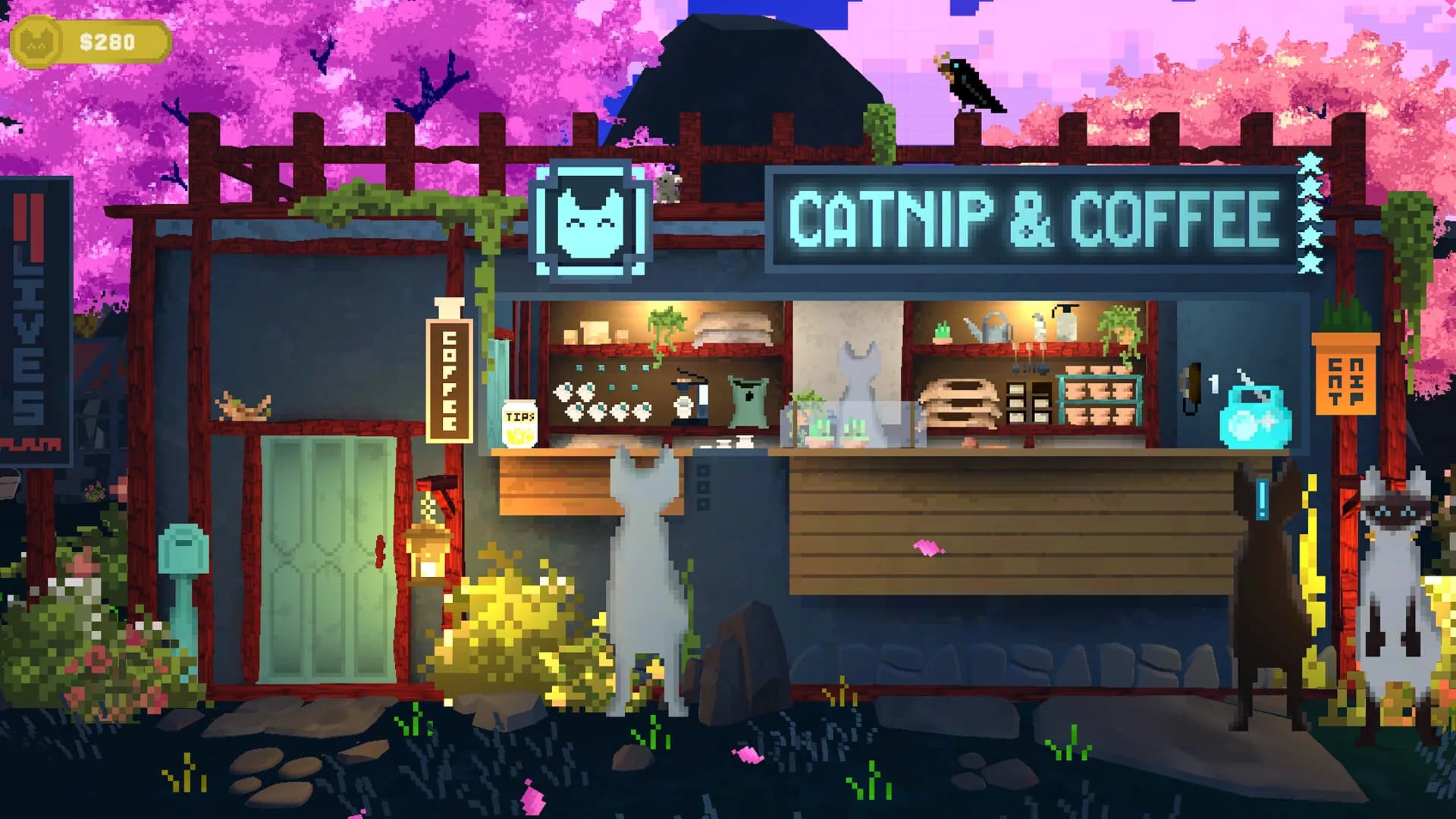 Catnip & Coffee görsel 2