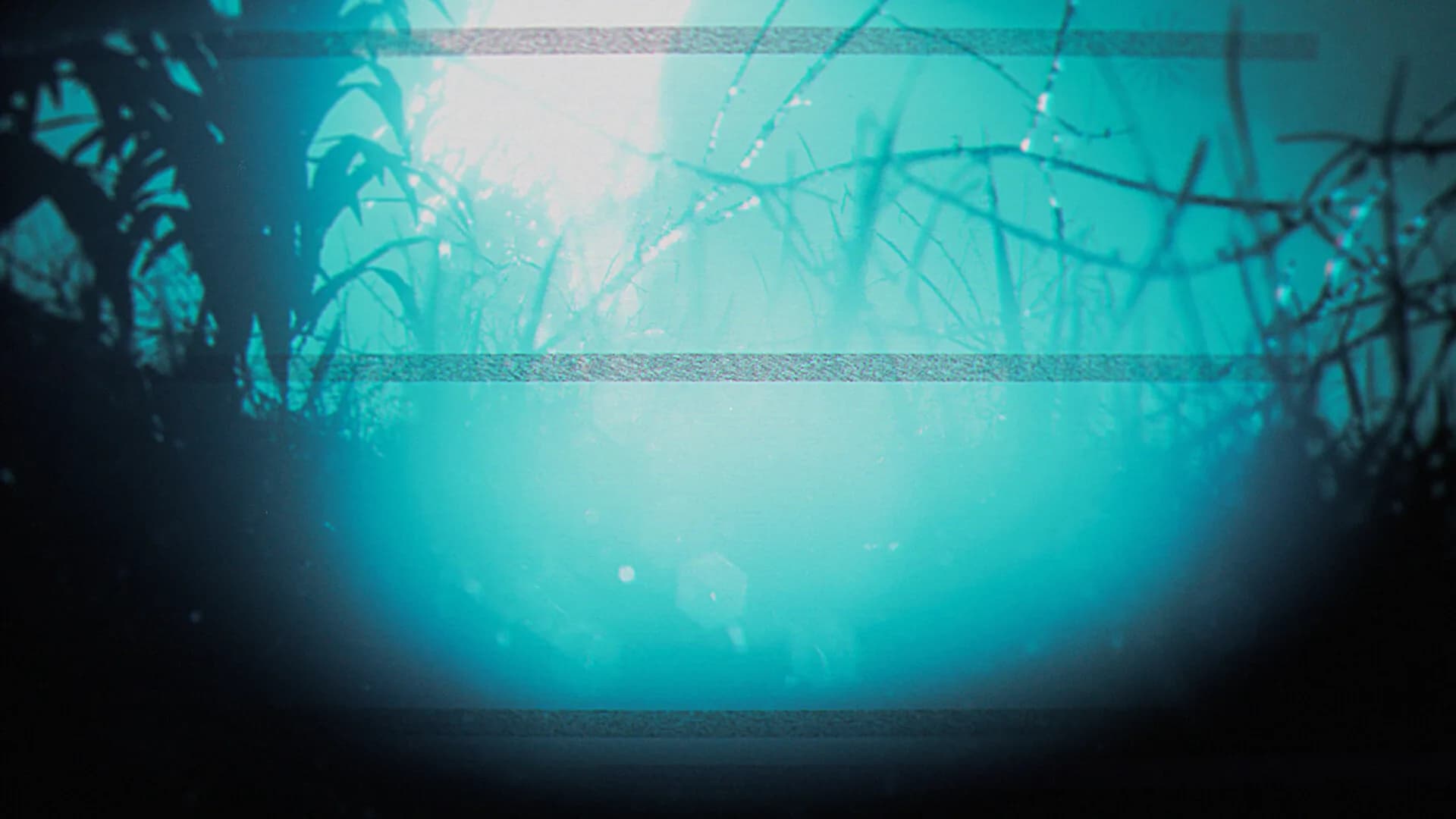 The Strange Lights görsel 14