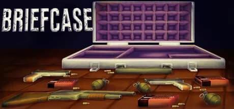 Briefcase görsel 1
