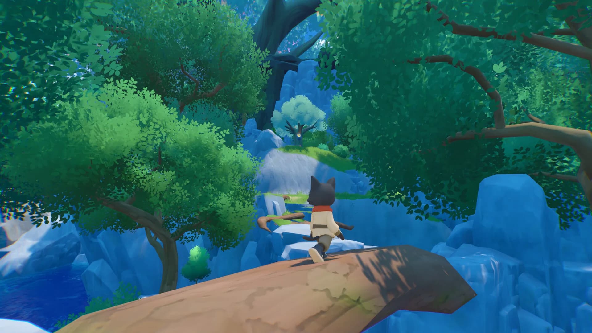 NABI görsel 10