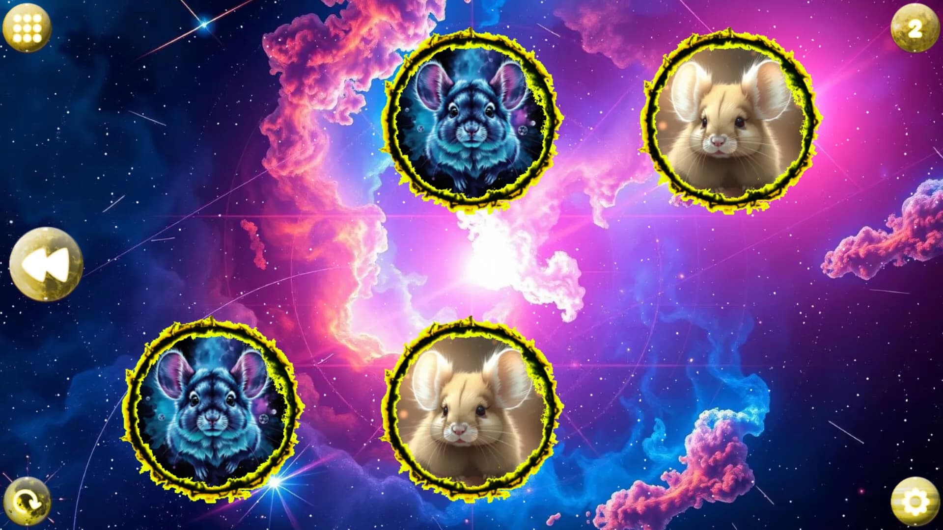 Space Memory: Chinchillas görsel 2