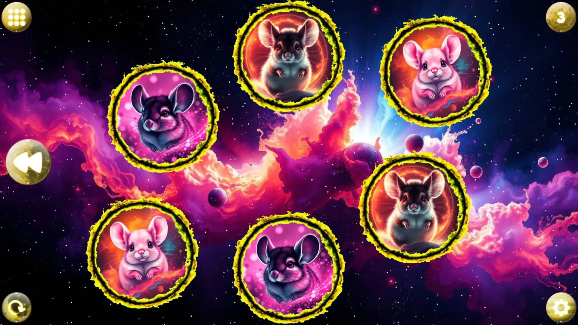 Space Memory: Chinchillas görsel 3