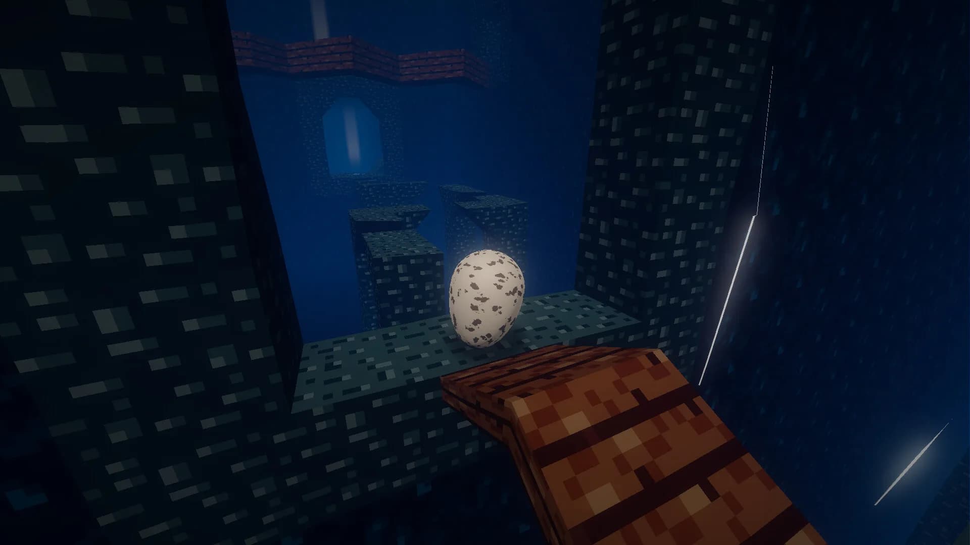 Oeuf görsel 8