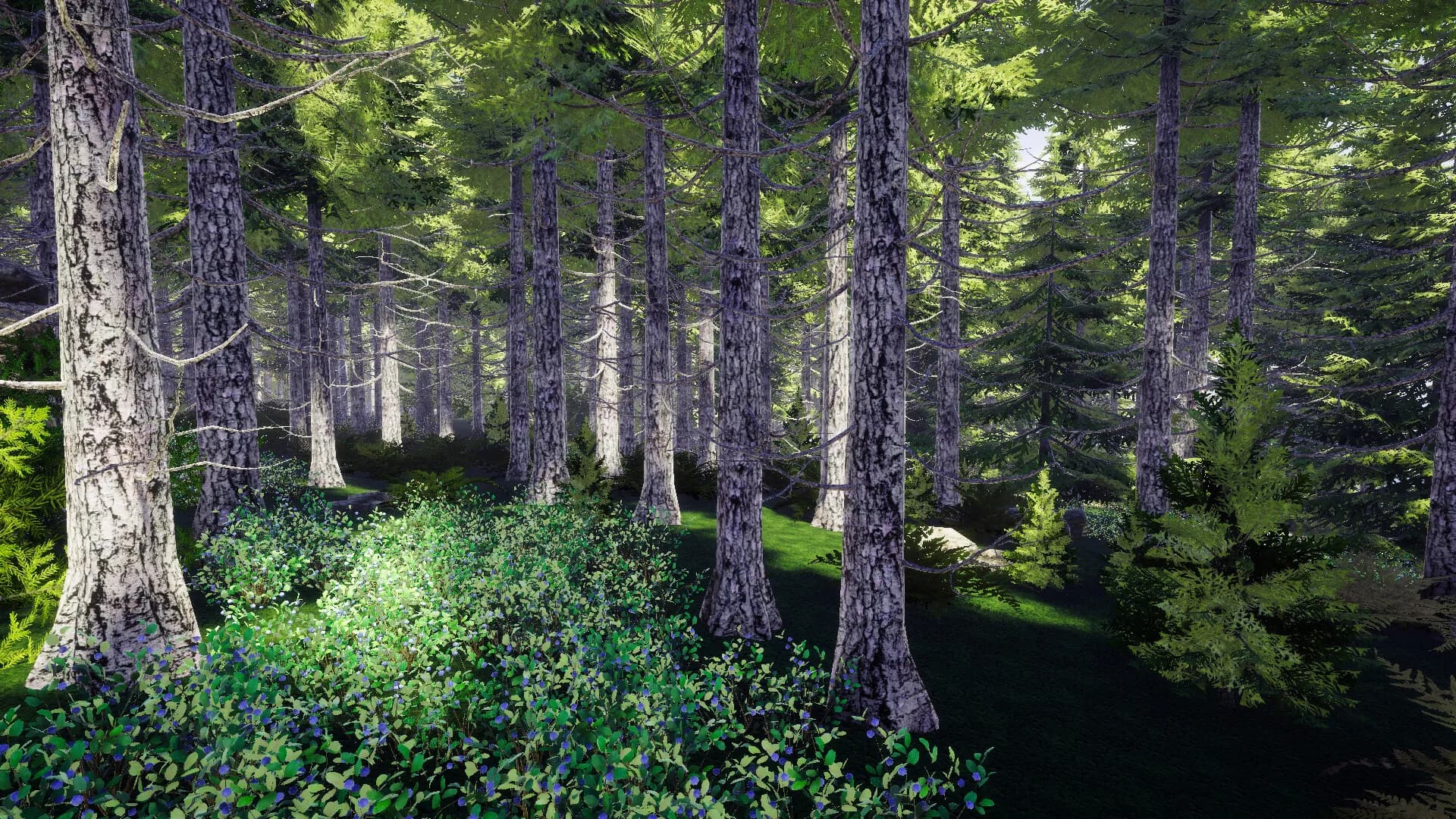Finnish Forest görsel 4