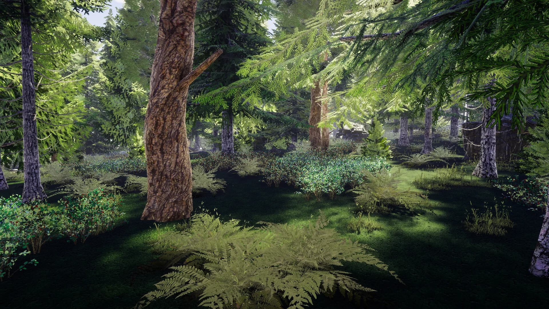 Finnish Forest görsel 6