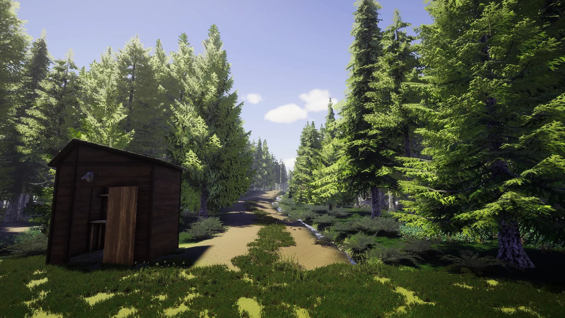 Finnish Forest görsel 7