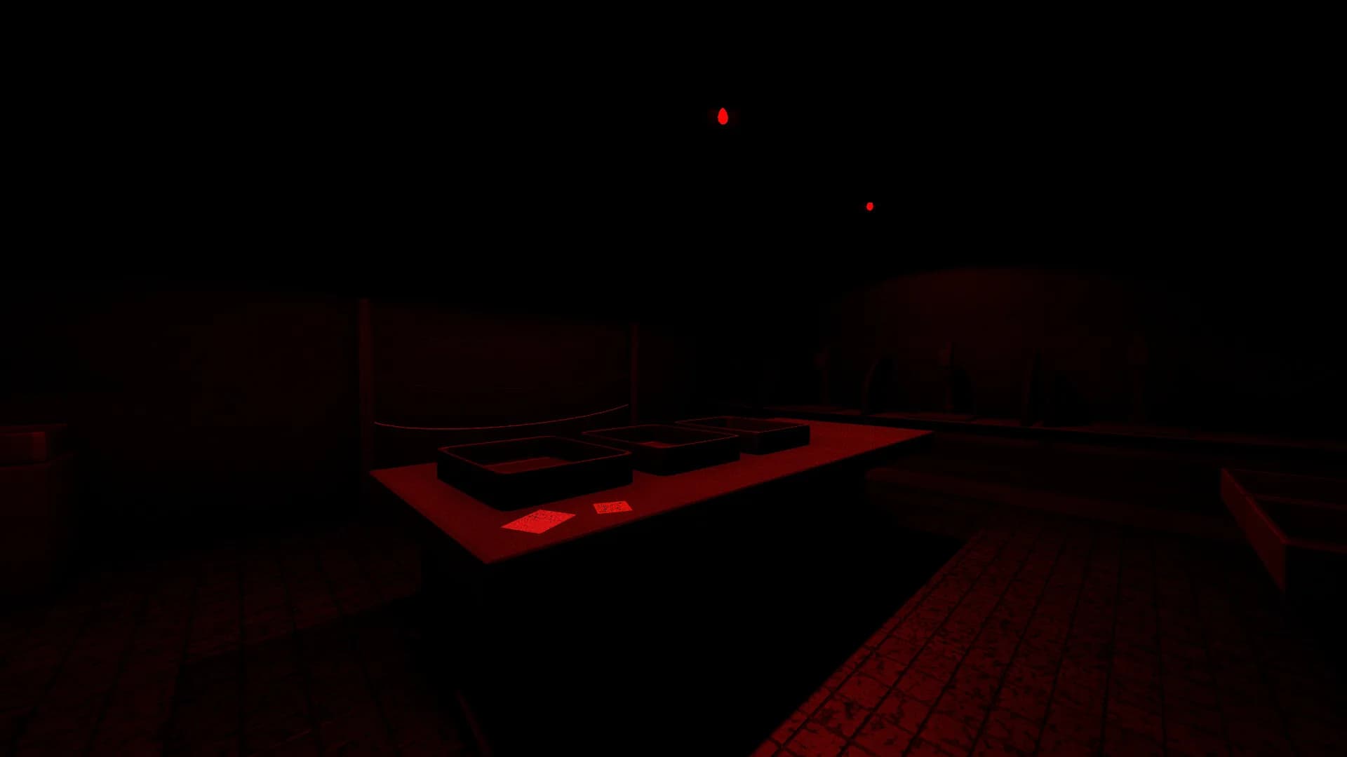 Darkroom görsel 2