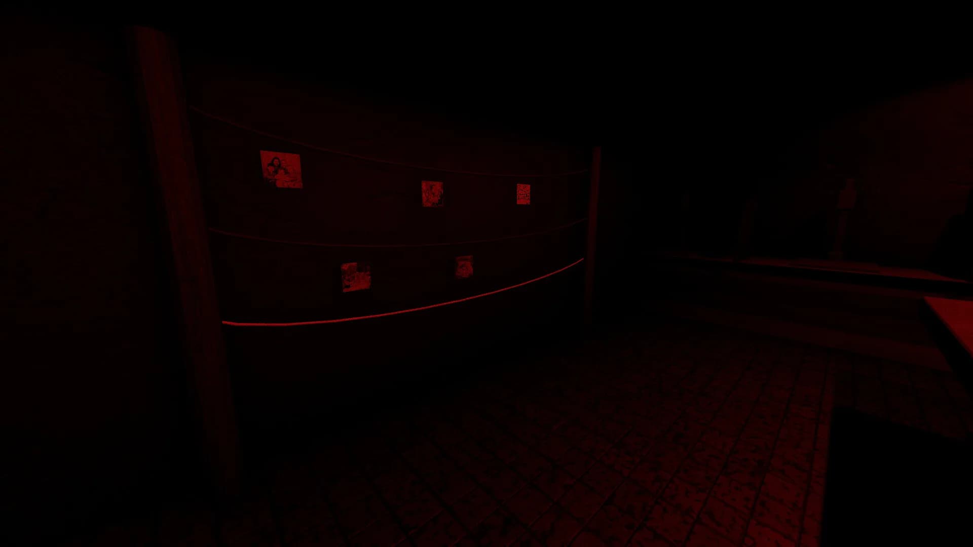 Darkroom görsel 3