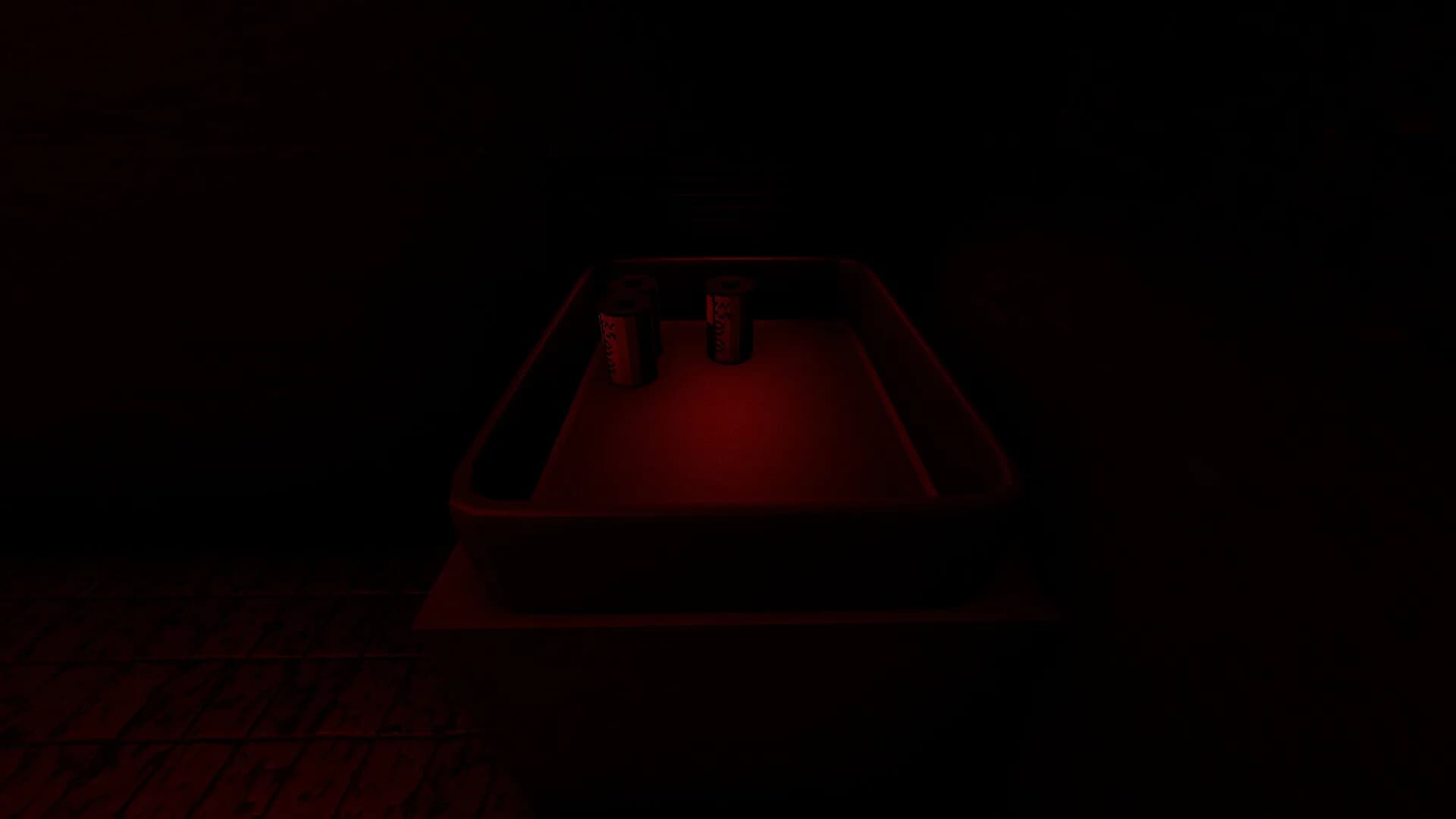 Darkroom görsel 6