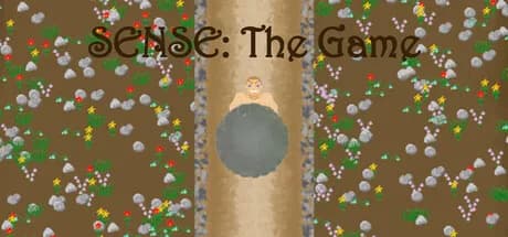SENSE: The Game