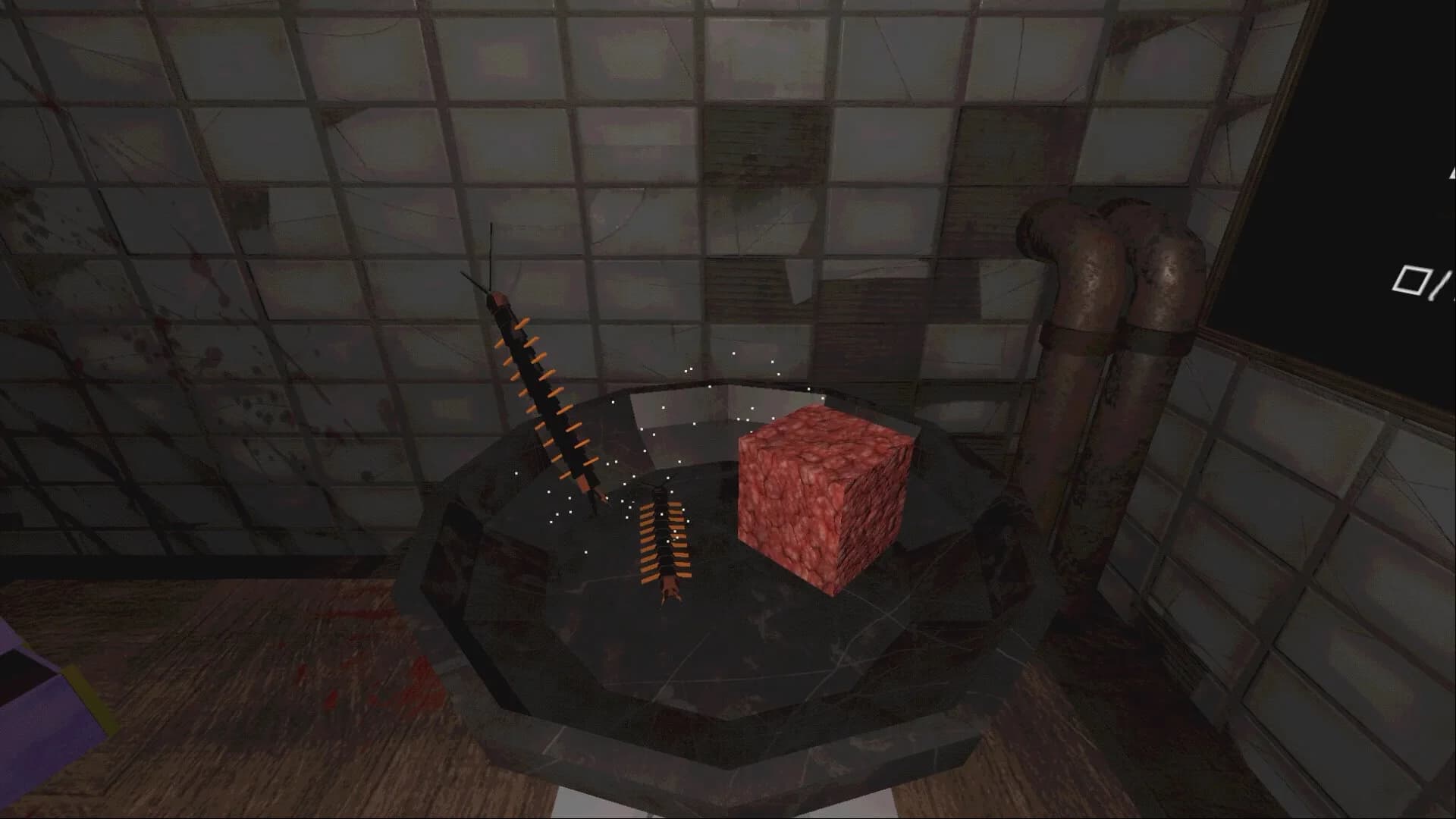 Kitchen Gore görsel 5