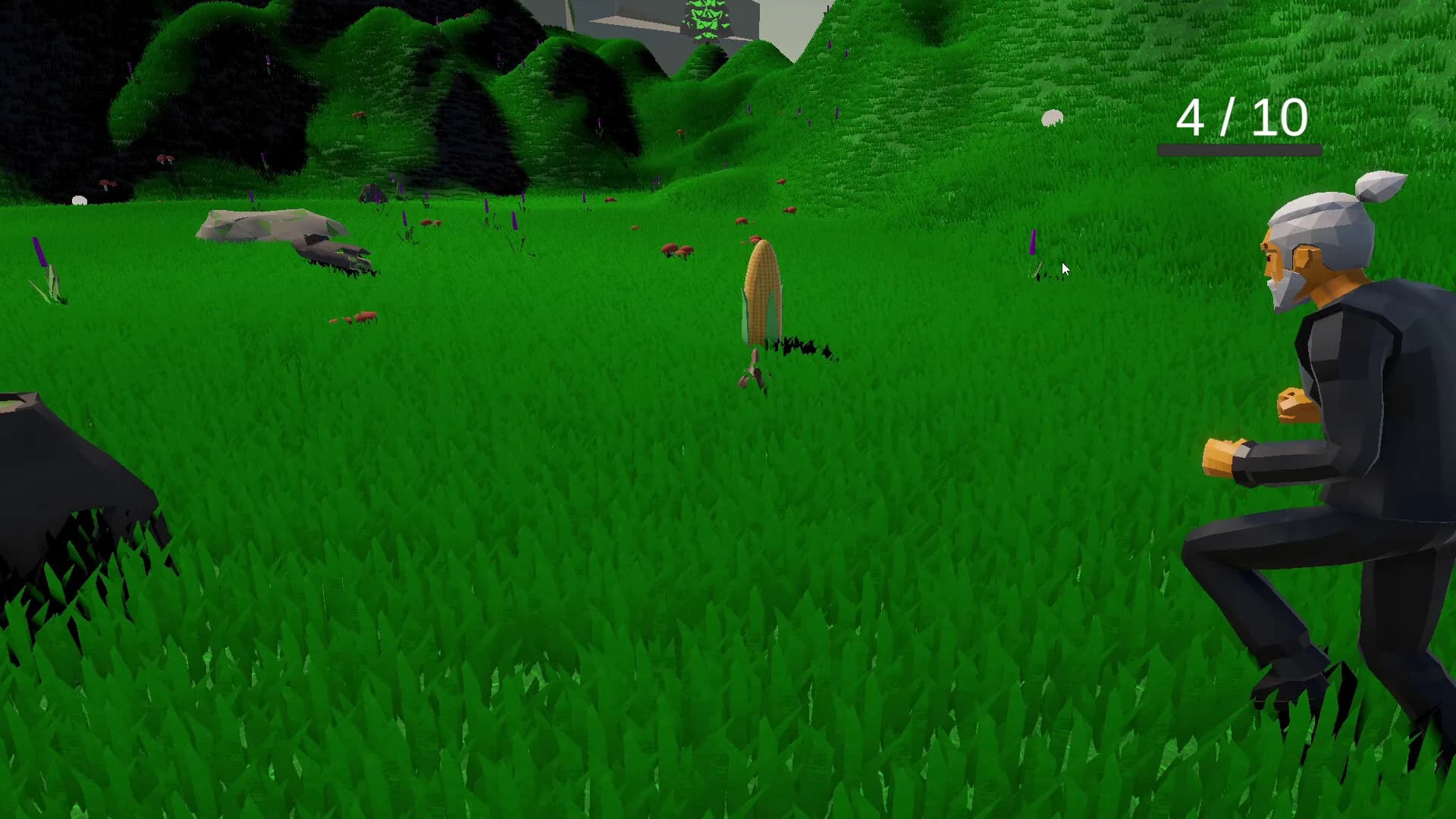Run Chicken Run görsel 7