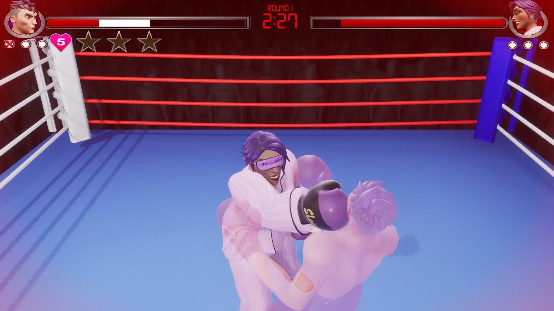 Totally Fair Boxing görsel 8