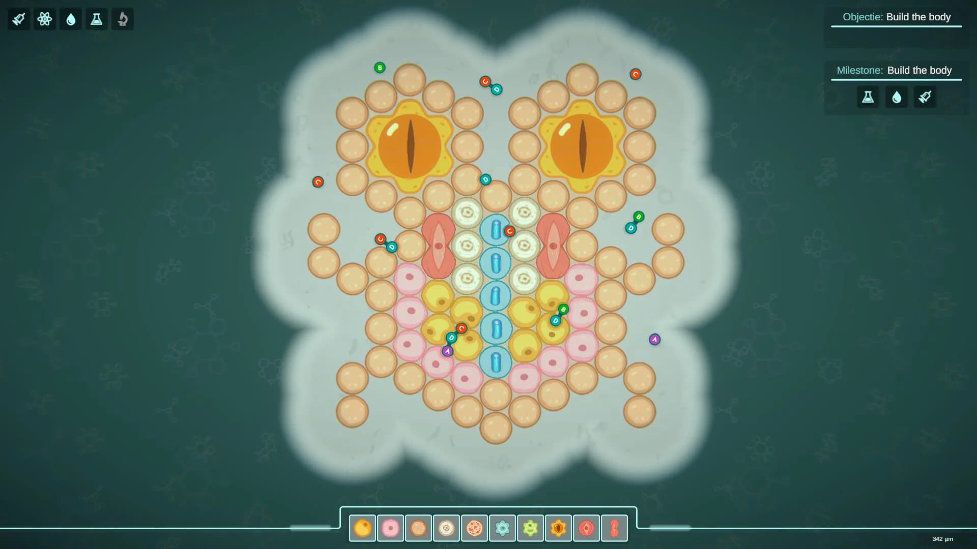 Bioneers görsel 2