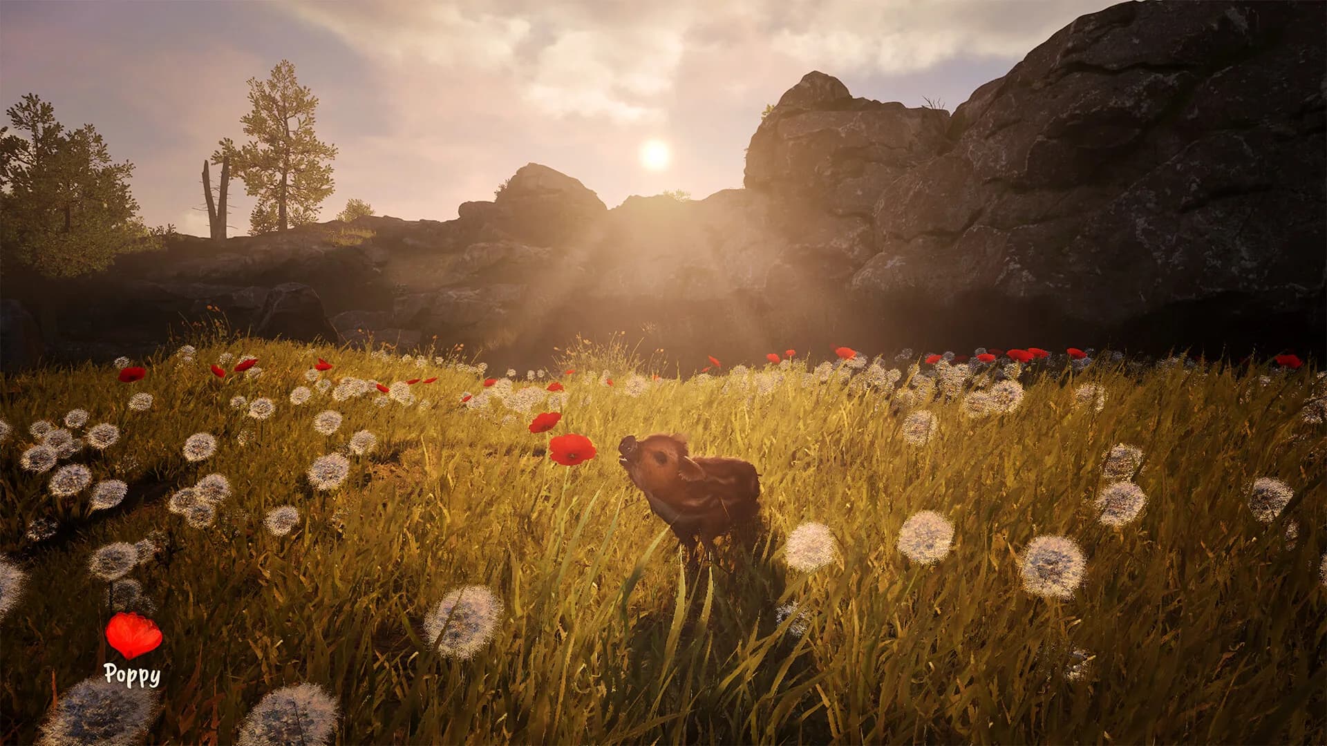 Adorable Adventures görsel 6