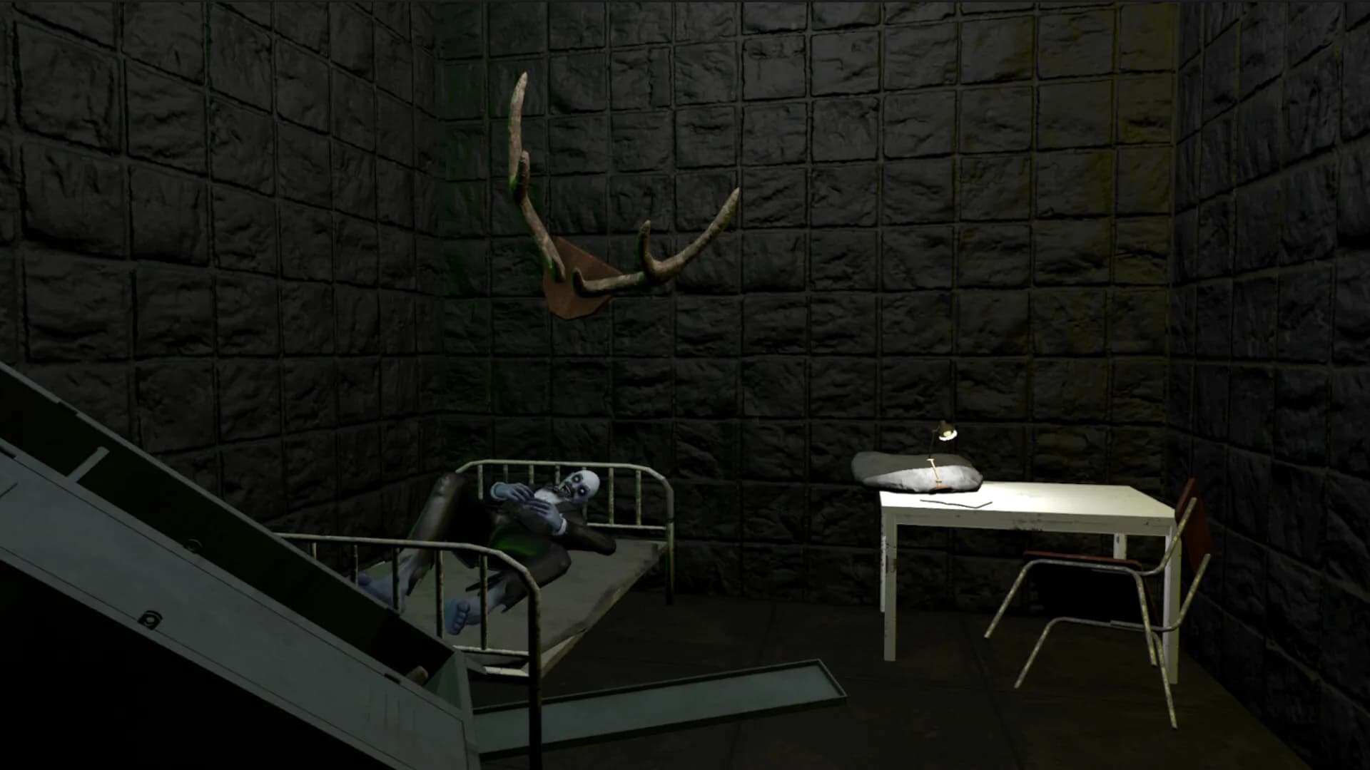 Twelve Mental Patients görsel 5