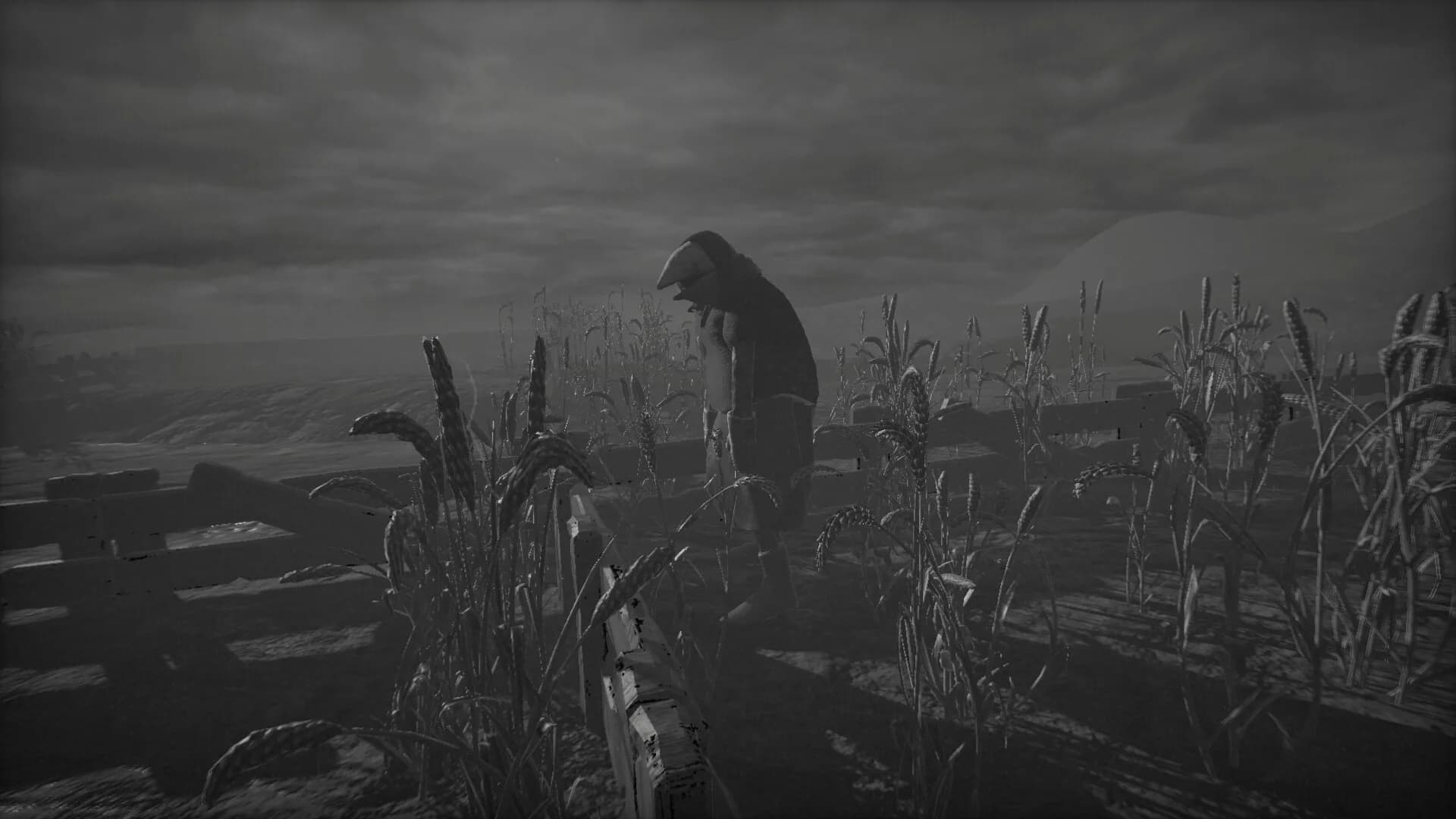 Farm of the unseen görsel 3