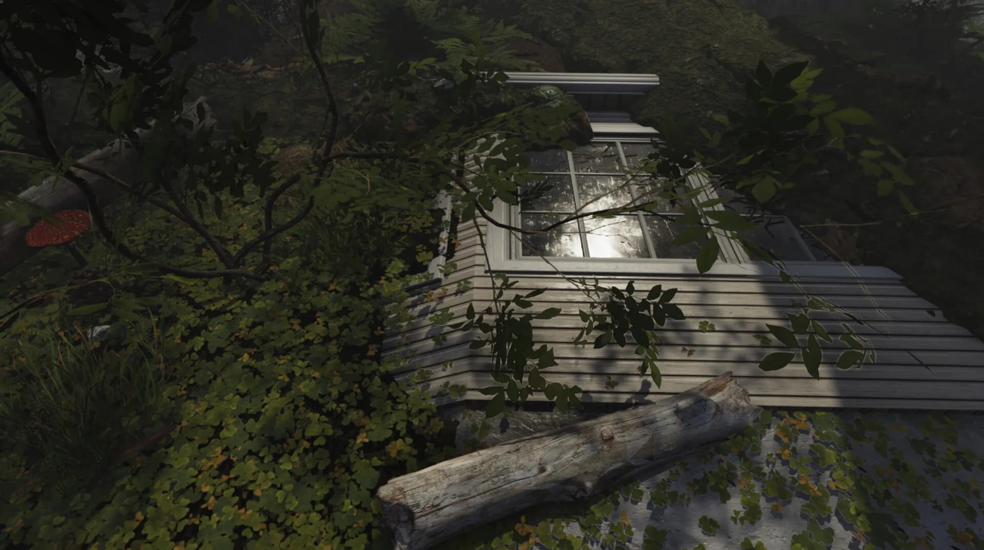 Paranormal Wilds görsel 8