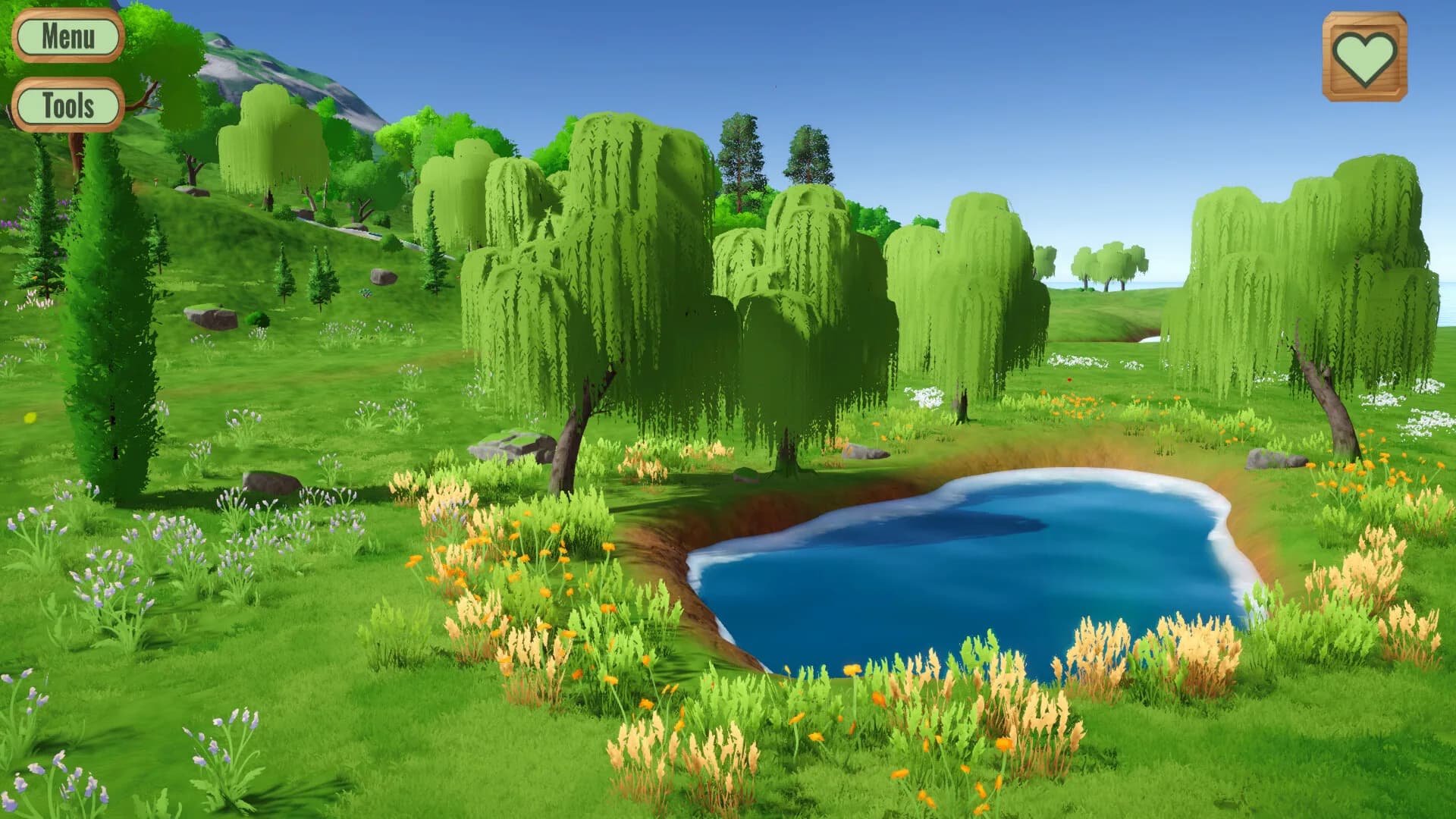 Pond görsel 2
