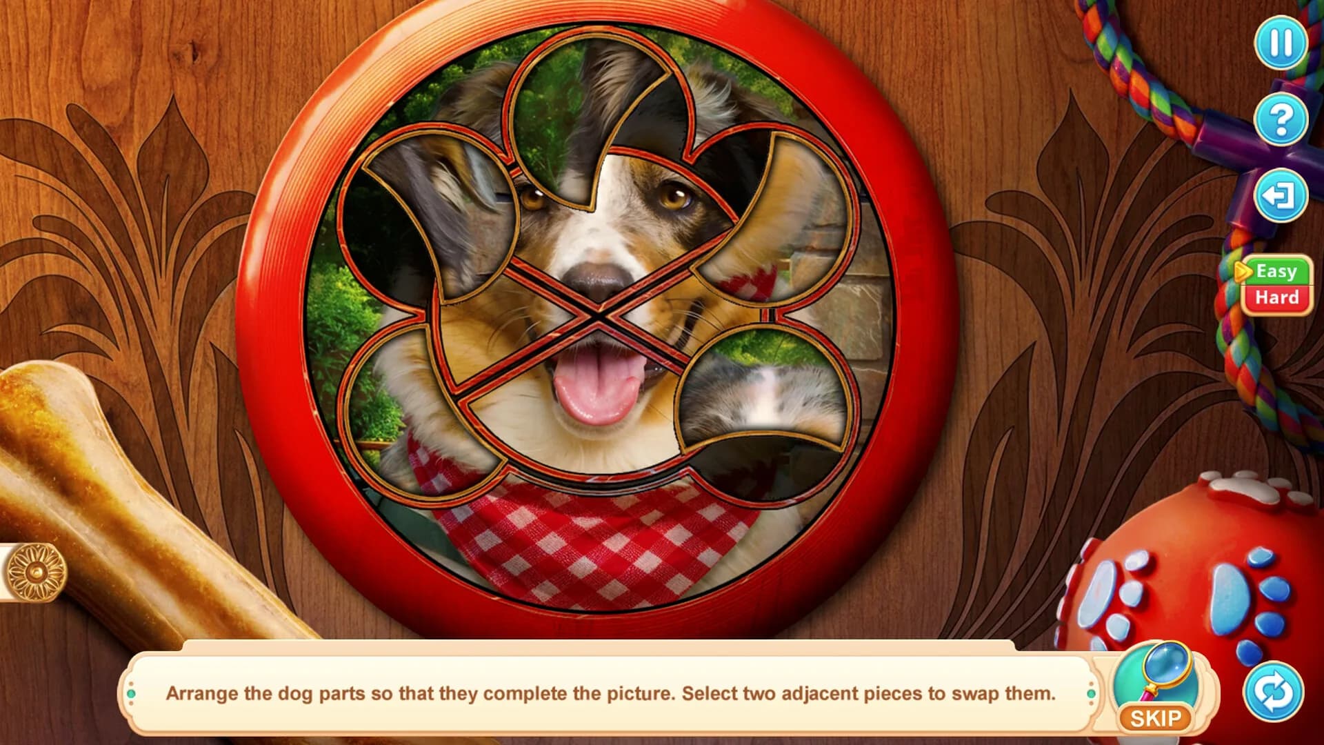 Home for Friends: Beloved Pets Collector's Edition görsel 5