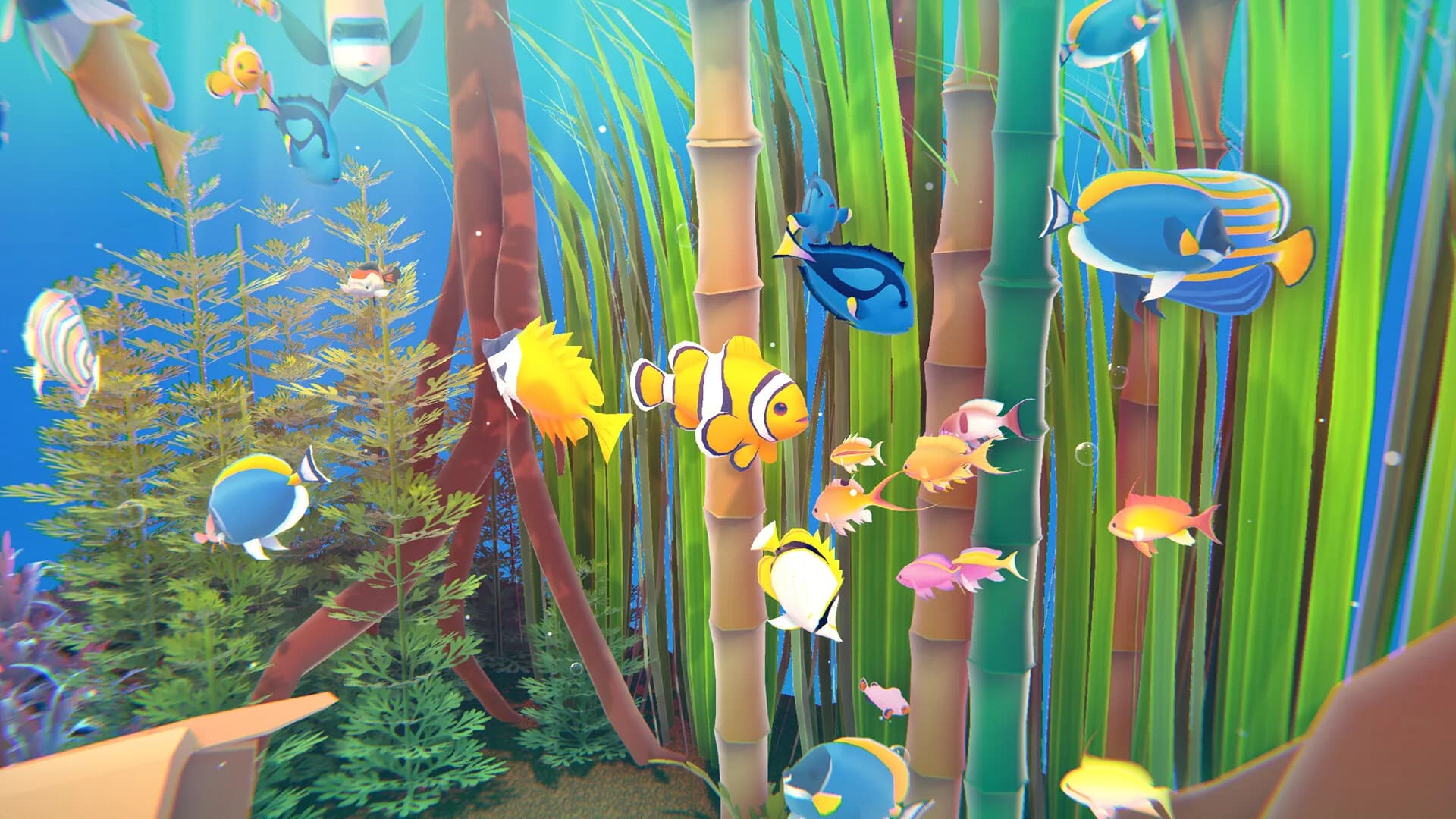 Fishplay görsel 2