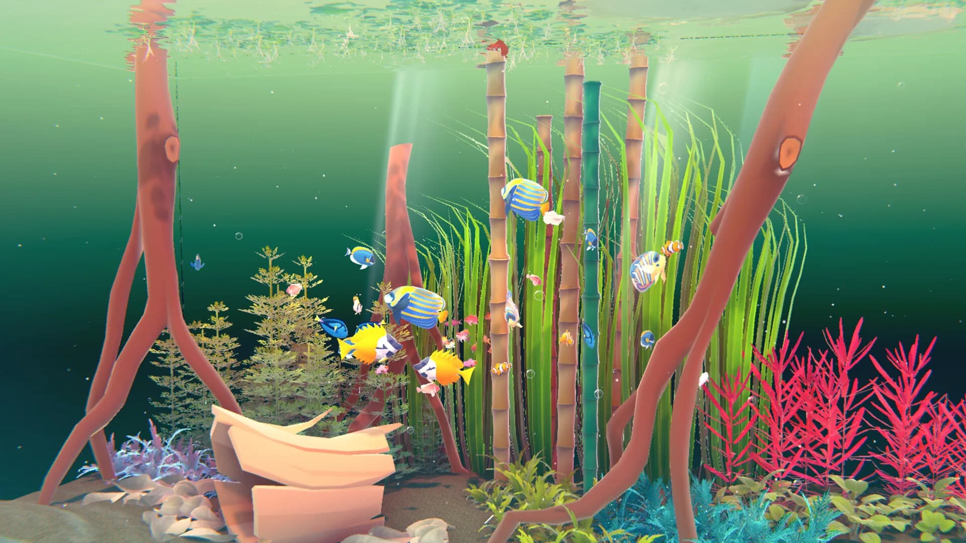 Fishplay görsel 3