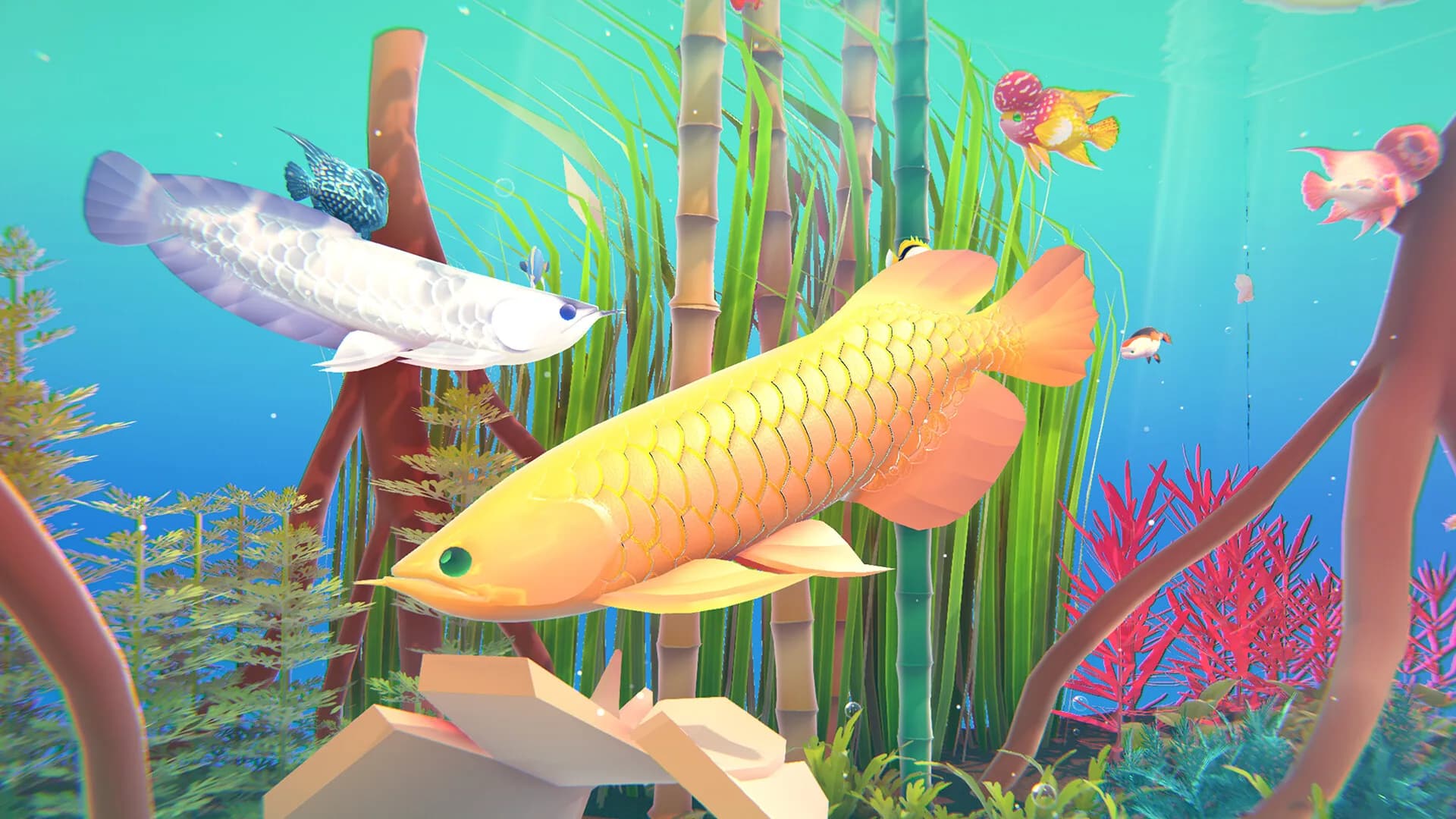 Fishplay görsel 5