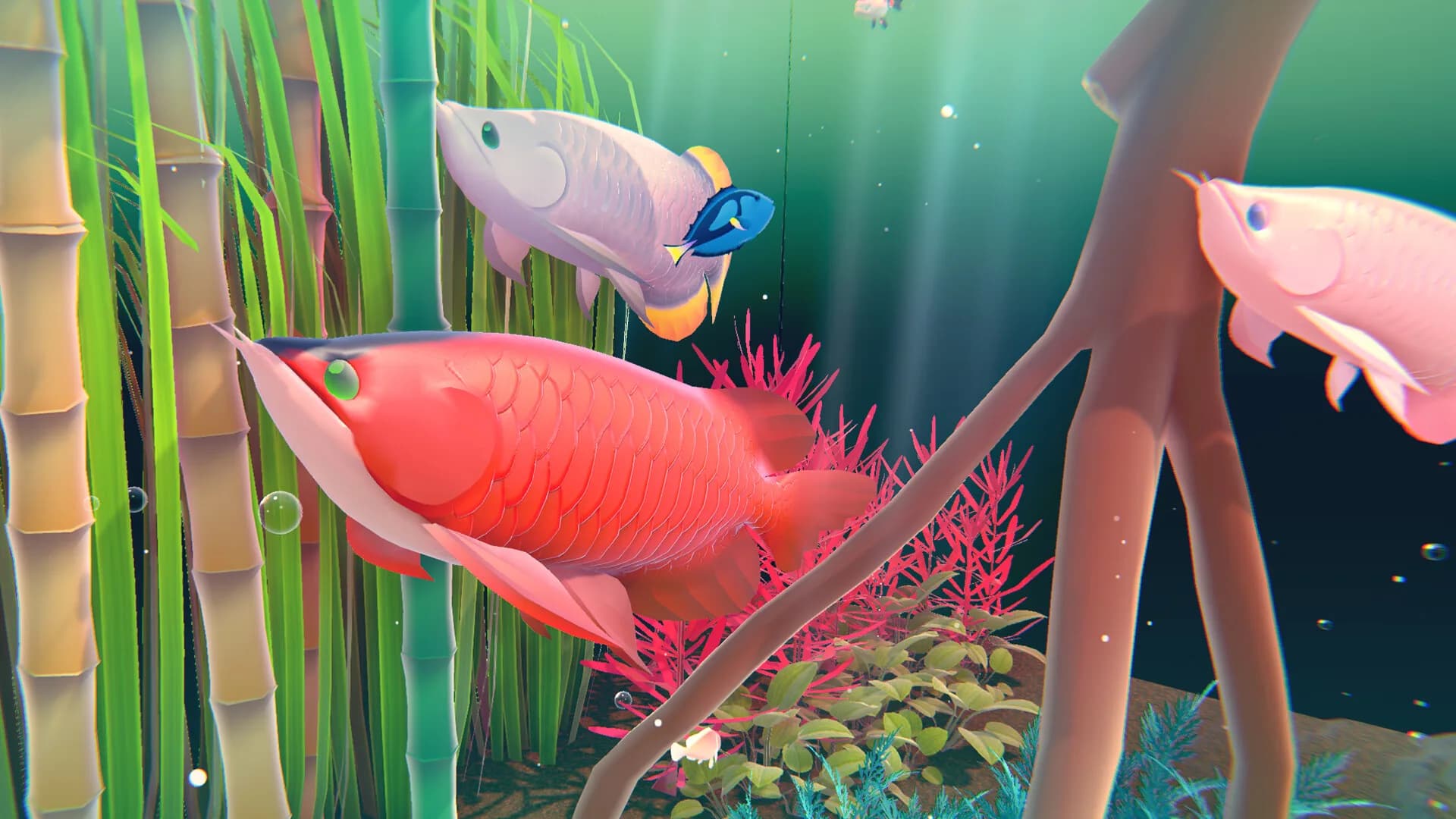 Fishplay görsel 6