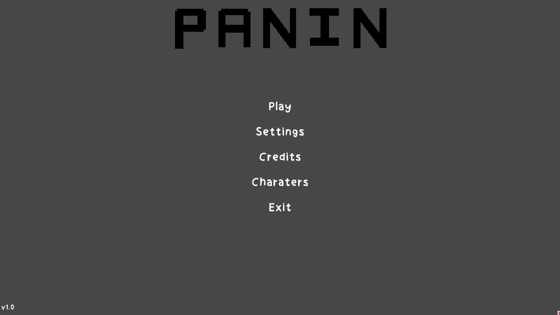 Panin görsel 2