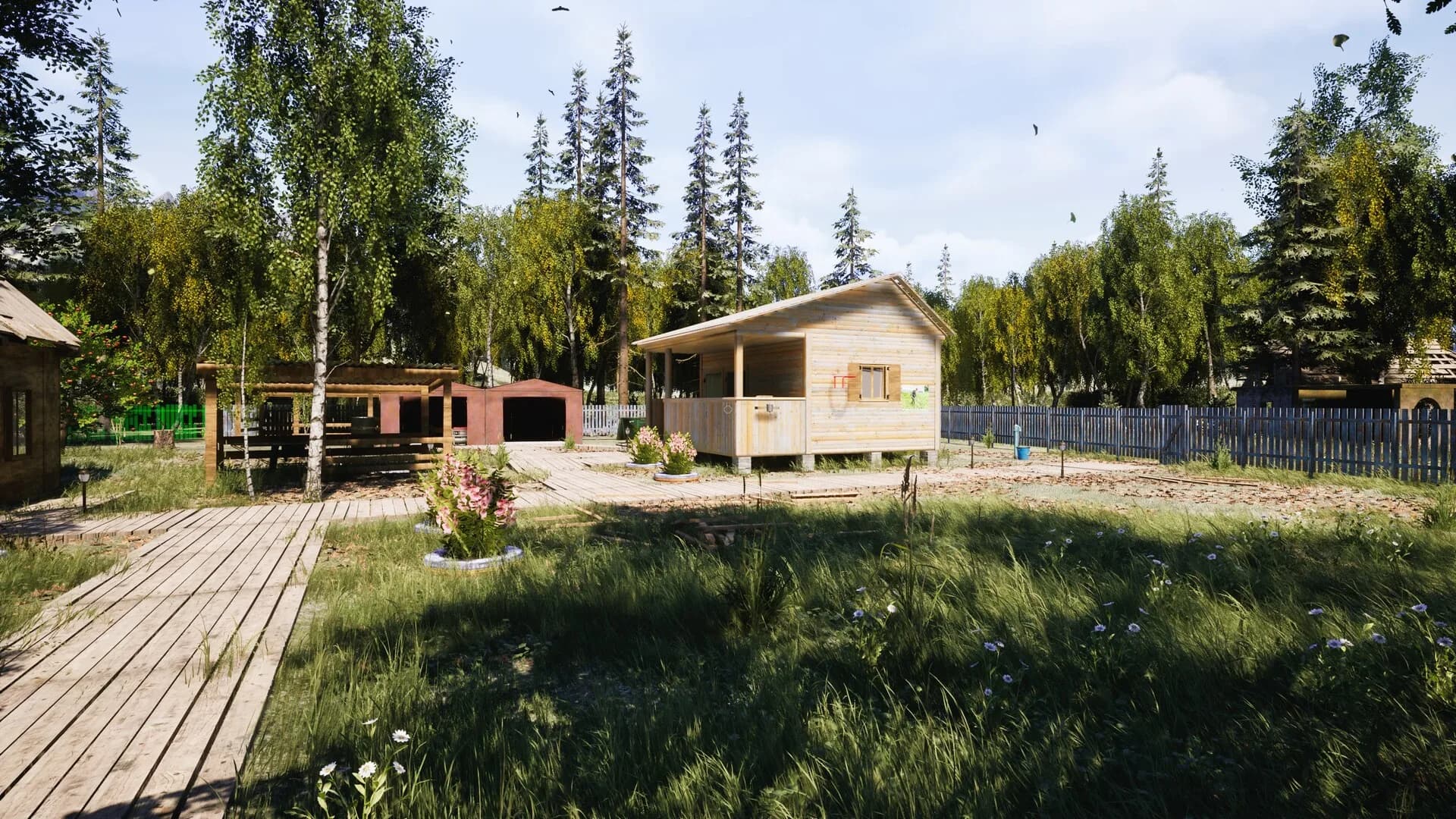 DACHA görsel 2