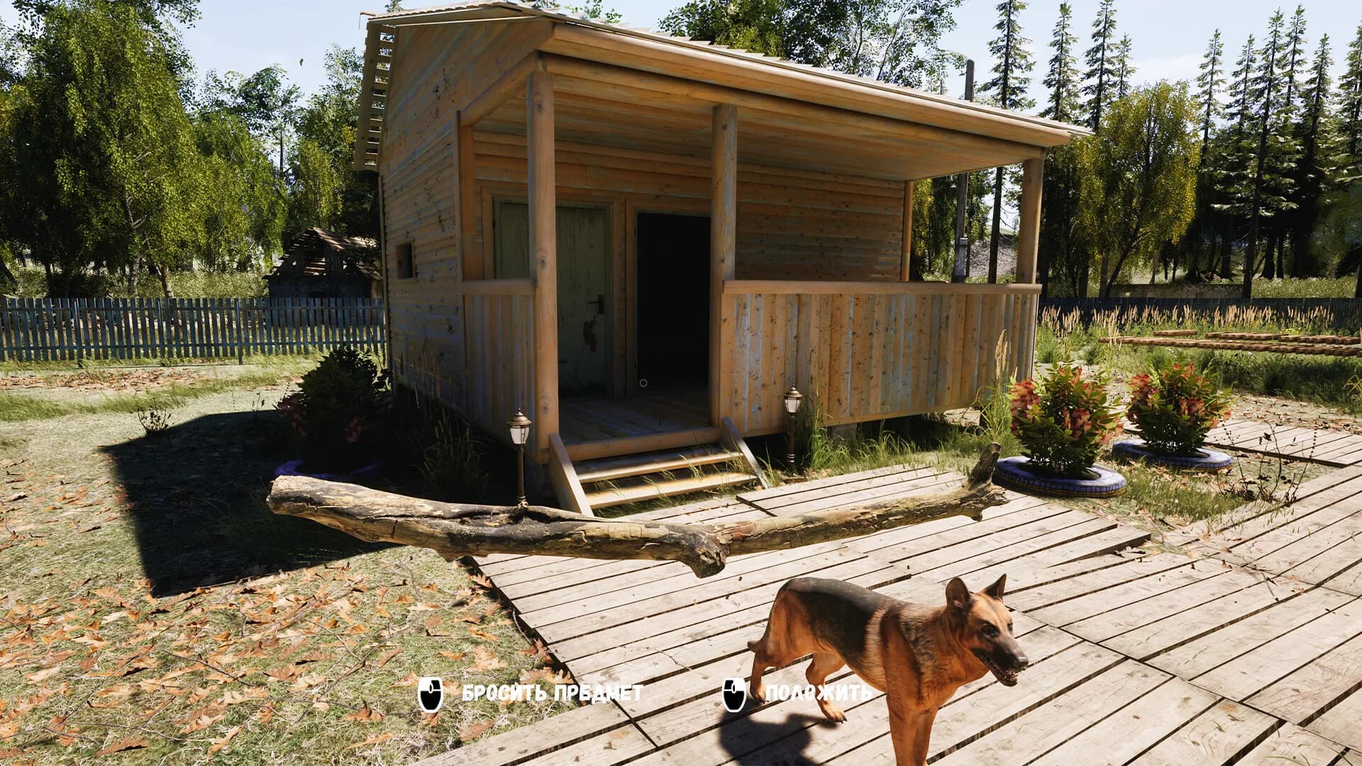 DACHA görsel 6