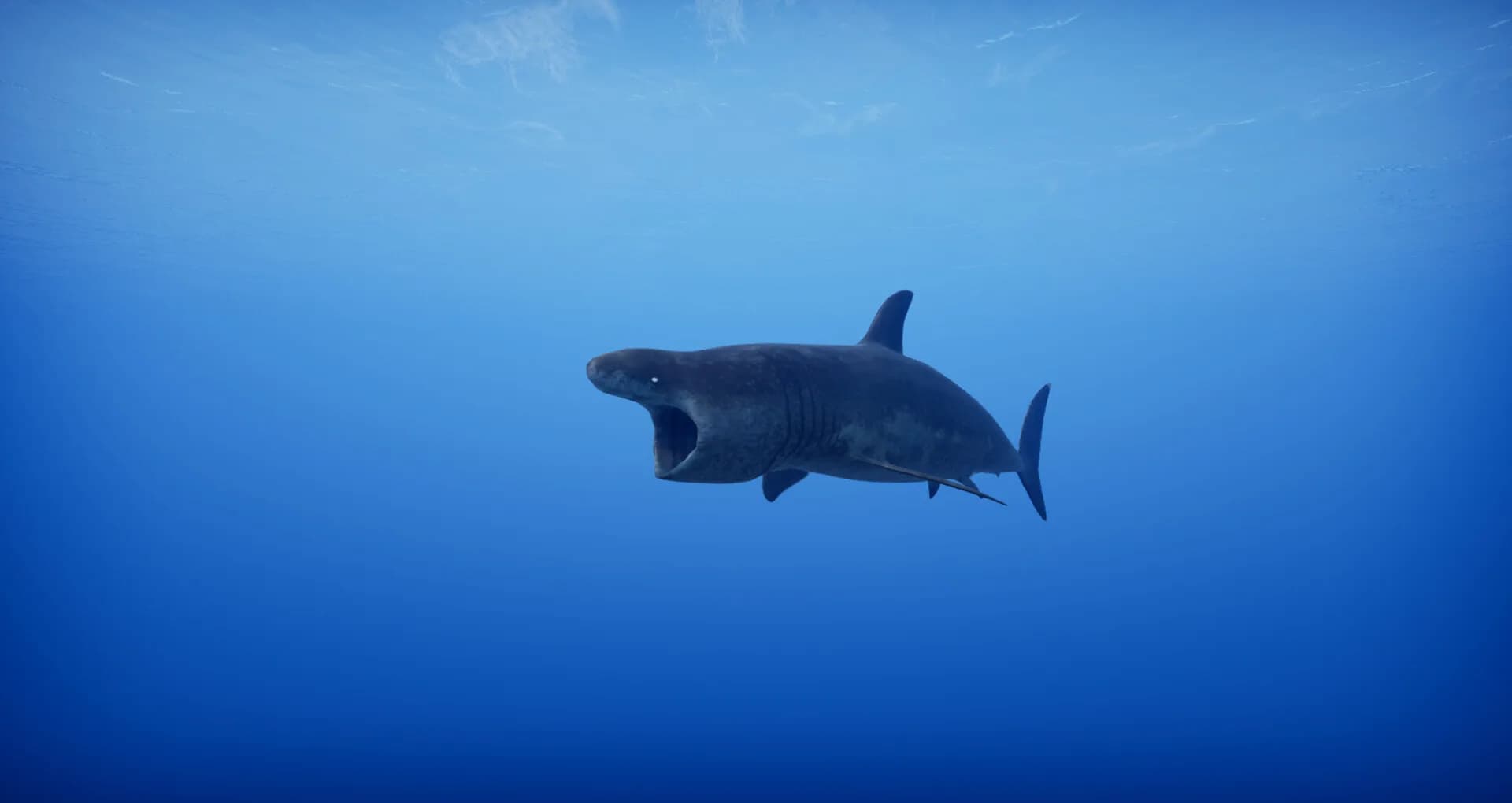 Primal Blue görsel 5