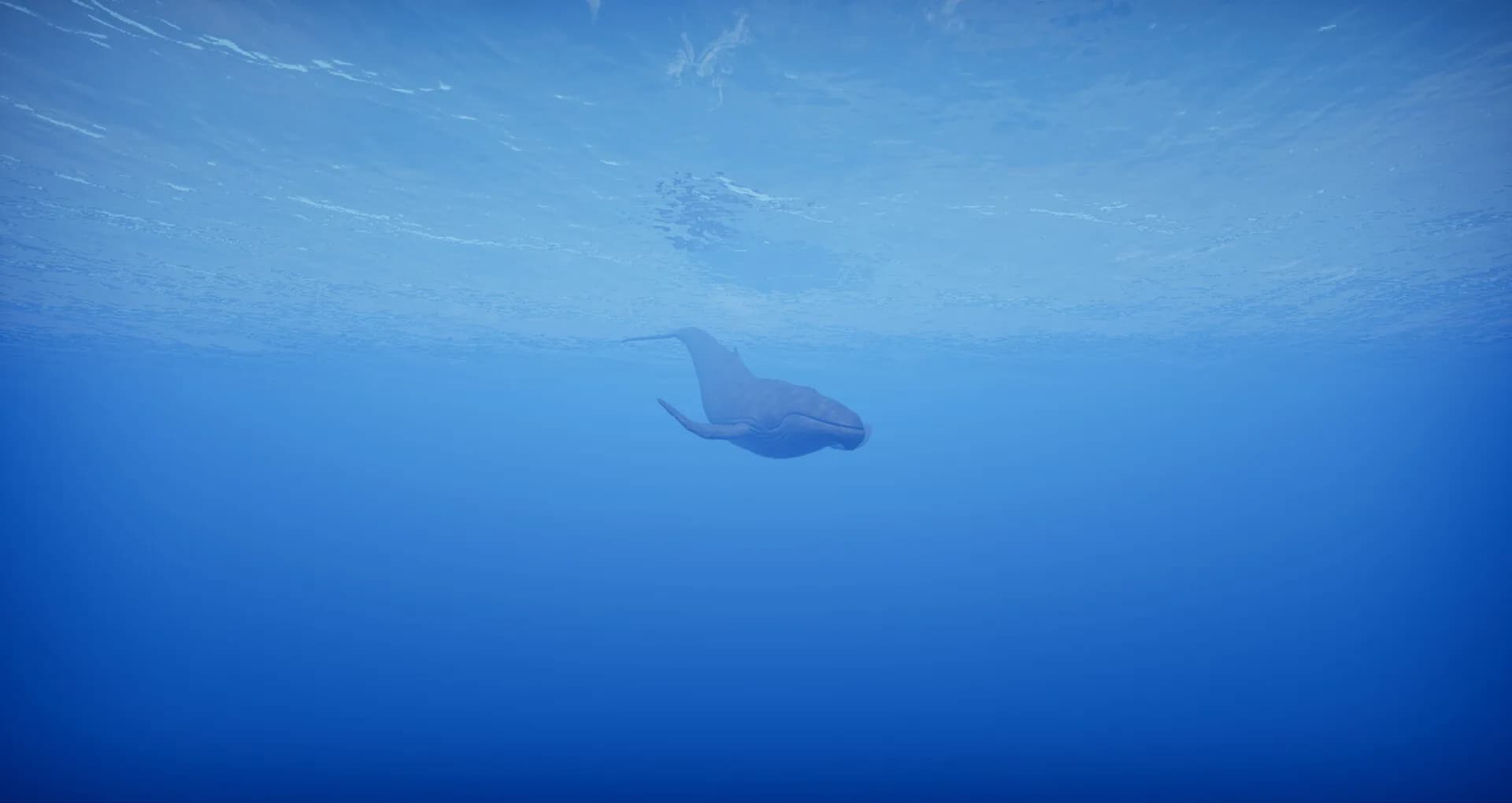 Primal Blue görsel 7