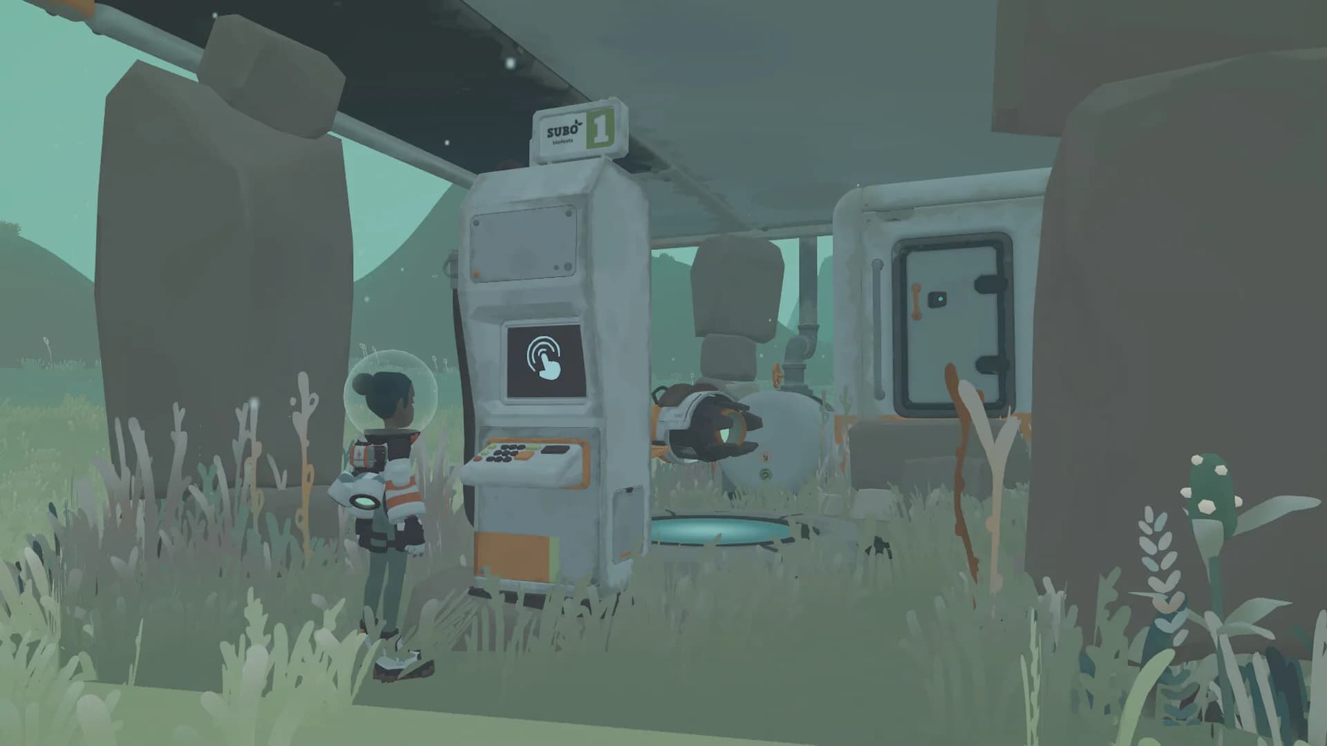 Space Vet görsel 4