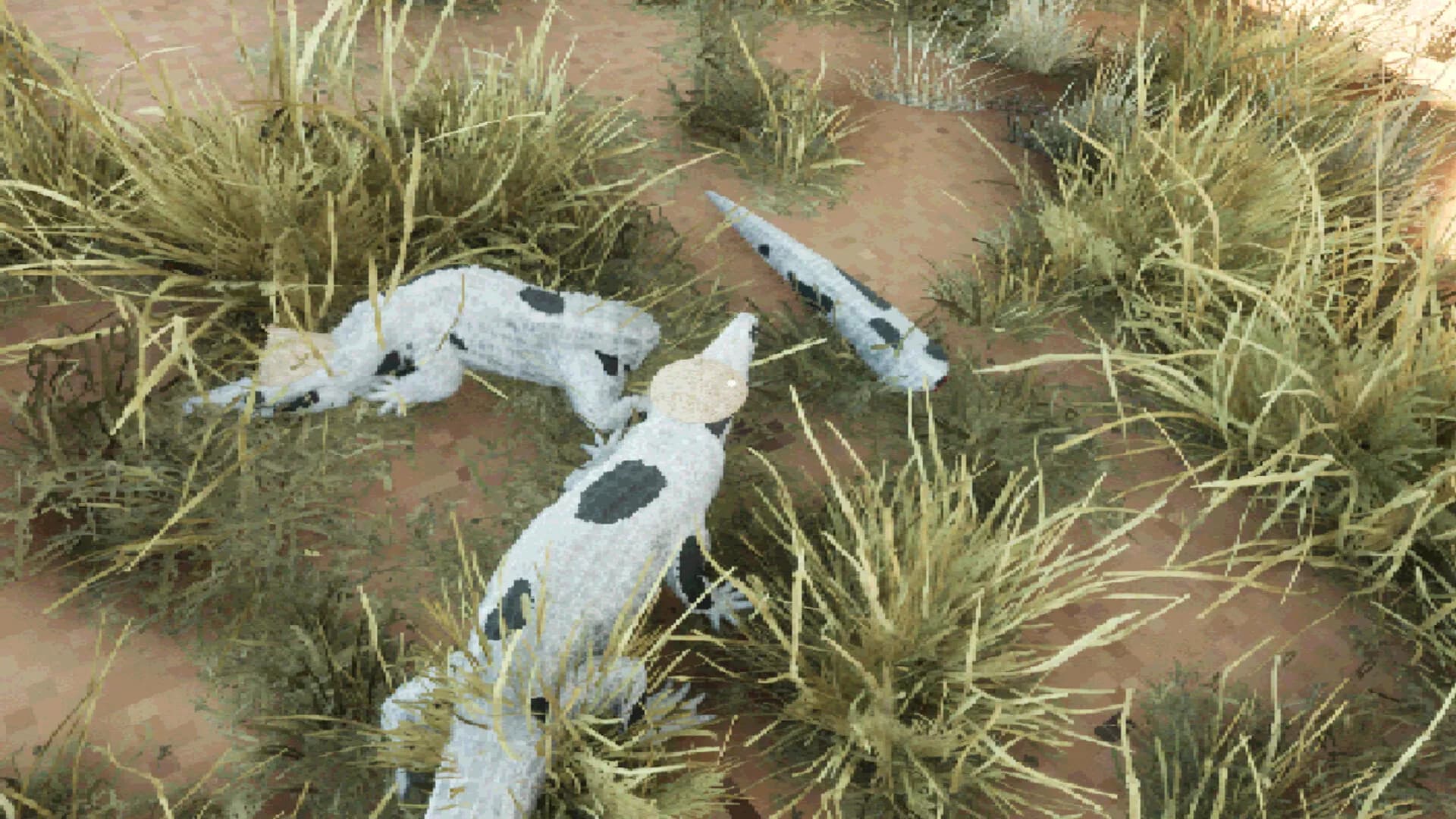 Croc Royale görsel 4