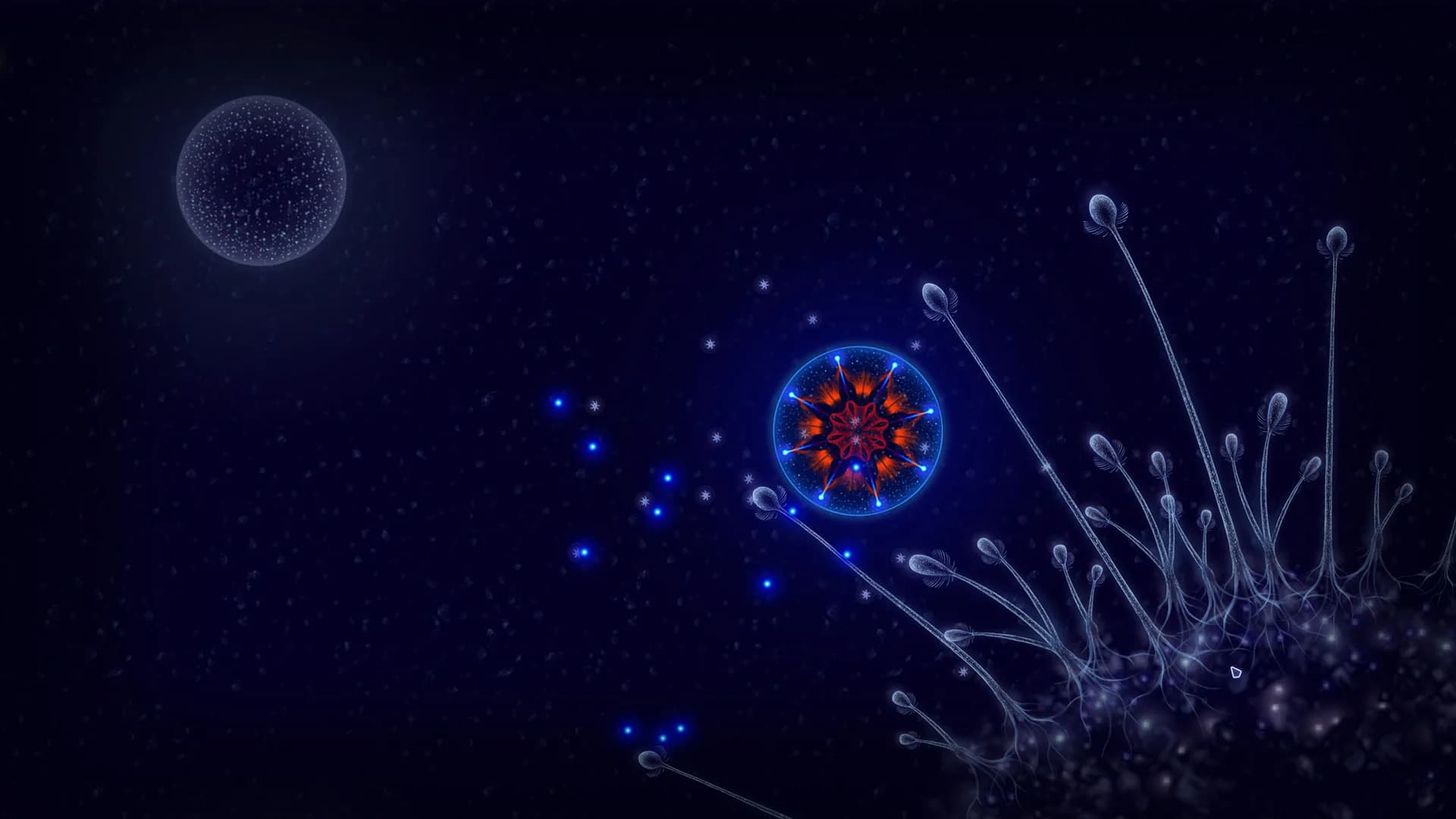 Microcosmum: survival of cells görsel 2