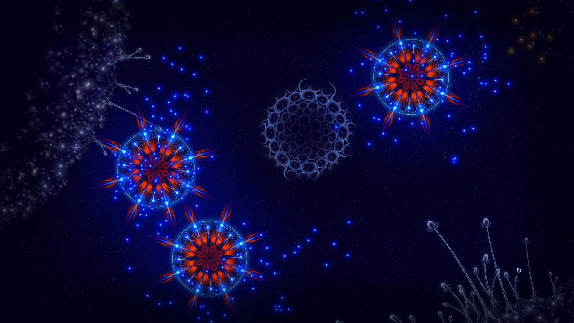 Microcosmum: survival of cells görsel 15