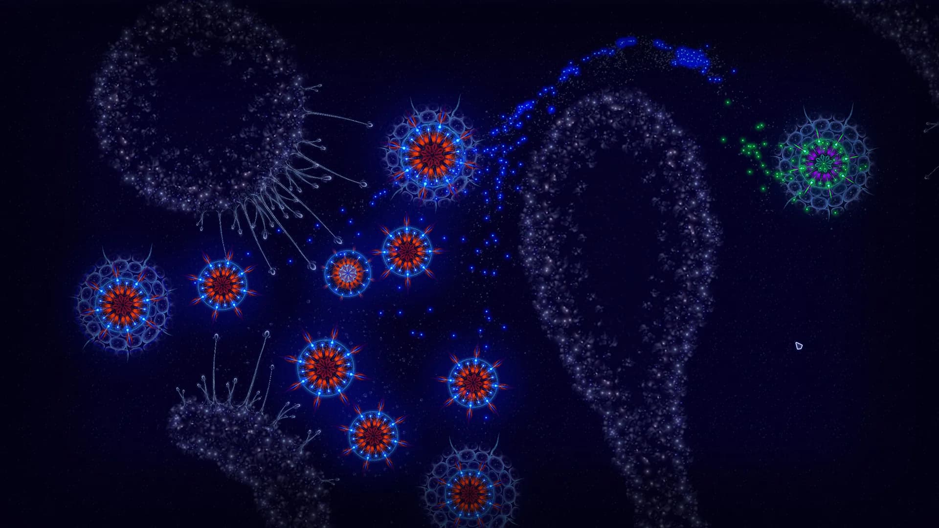 Microcosmum: survival of cells görsel 22