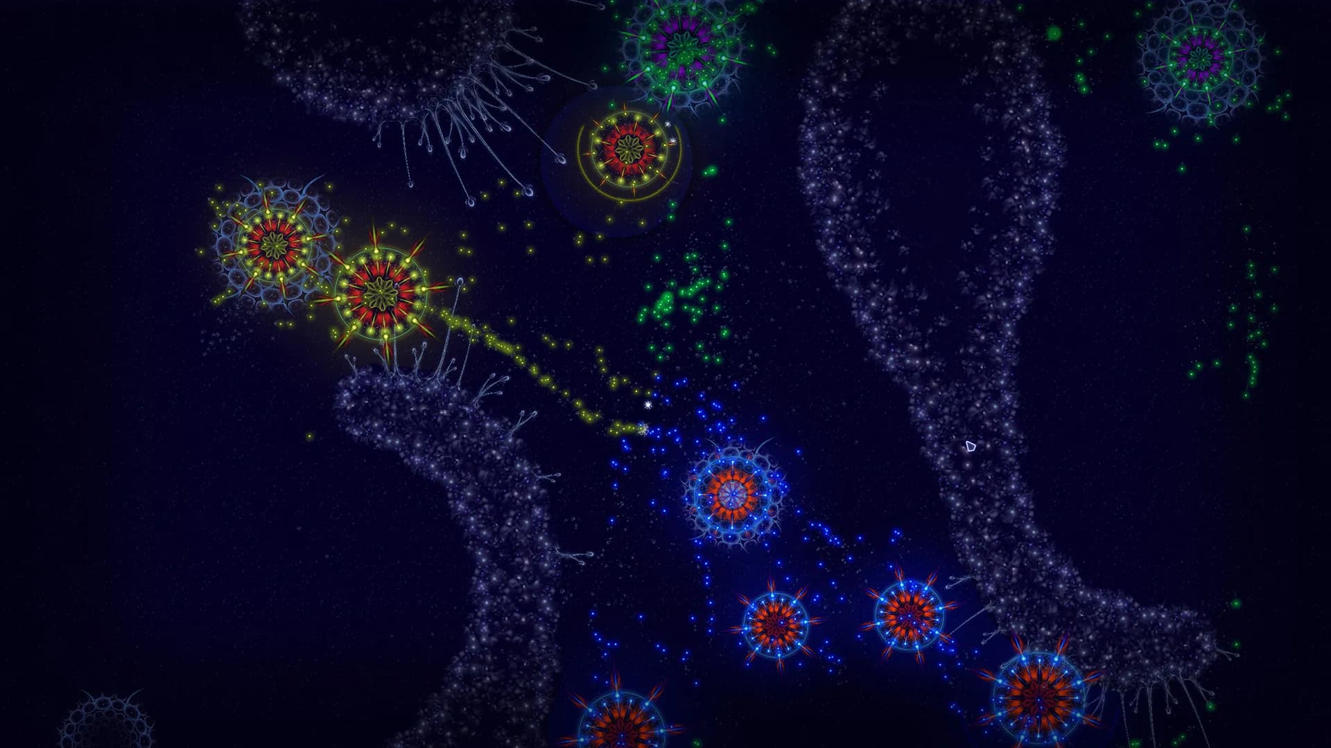 Microcosmum: survival of cells görsel 5